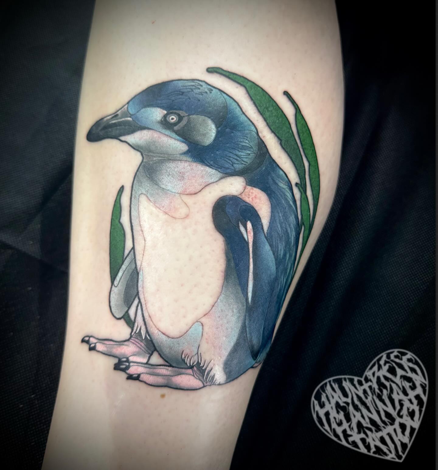 Penguin realism tattoo on the forearm by Hannah Casadonti