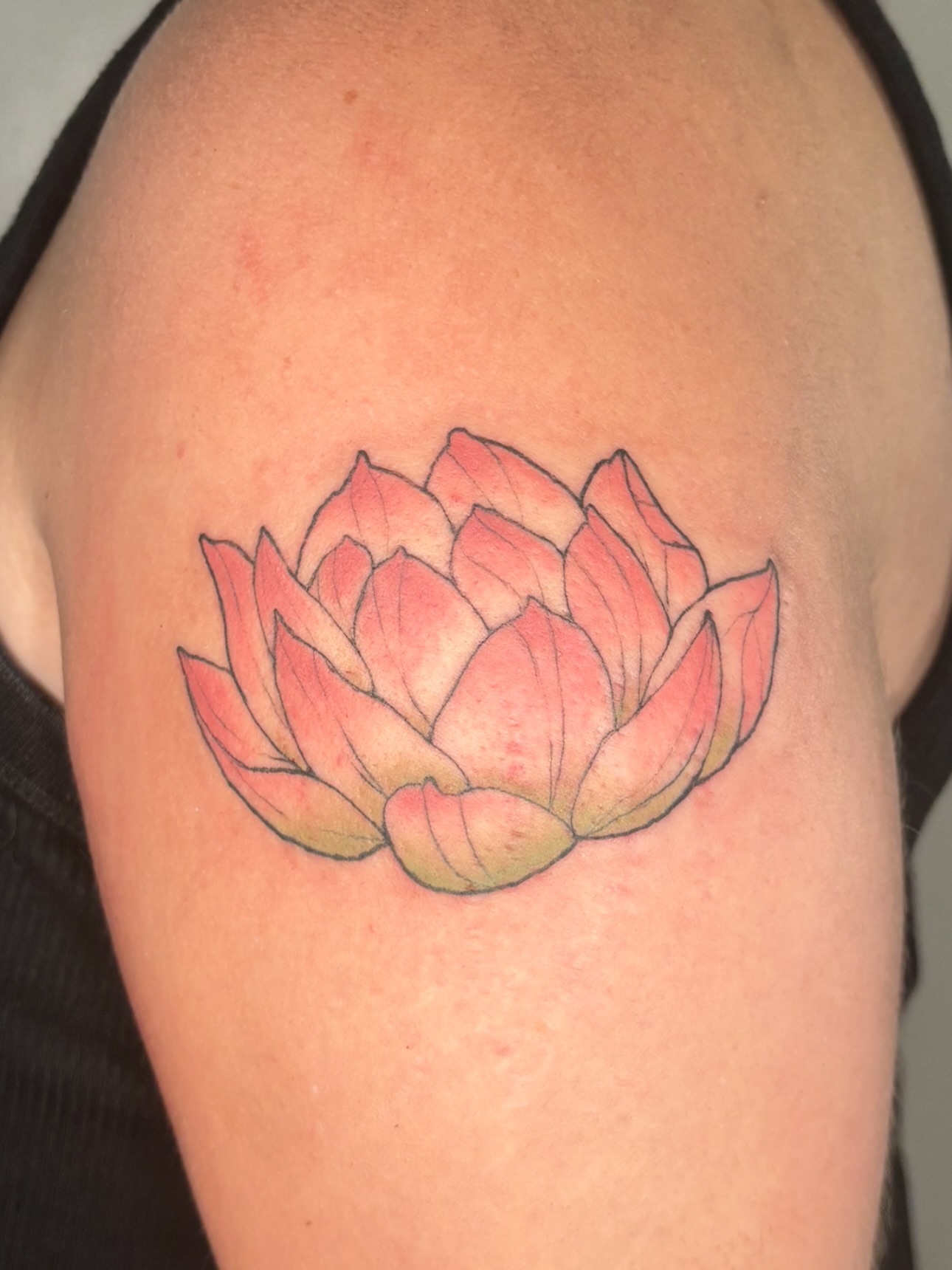 Tattoo by bee 🐝 boston-based tattoo artist, Boston, MA