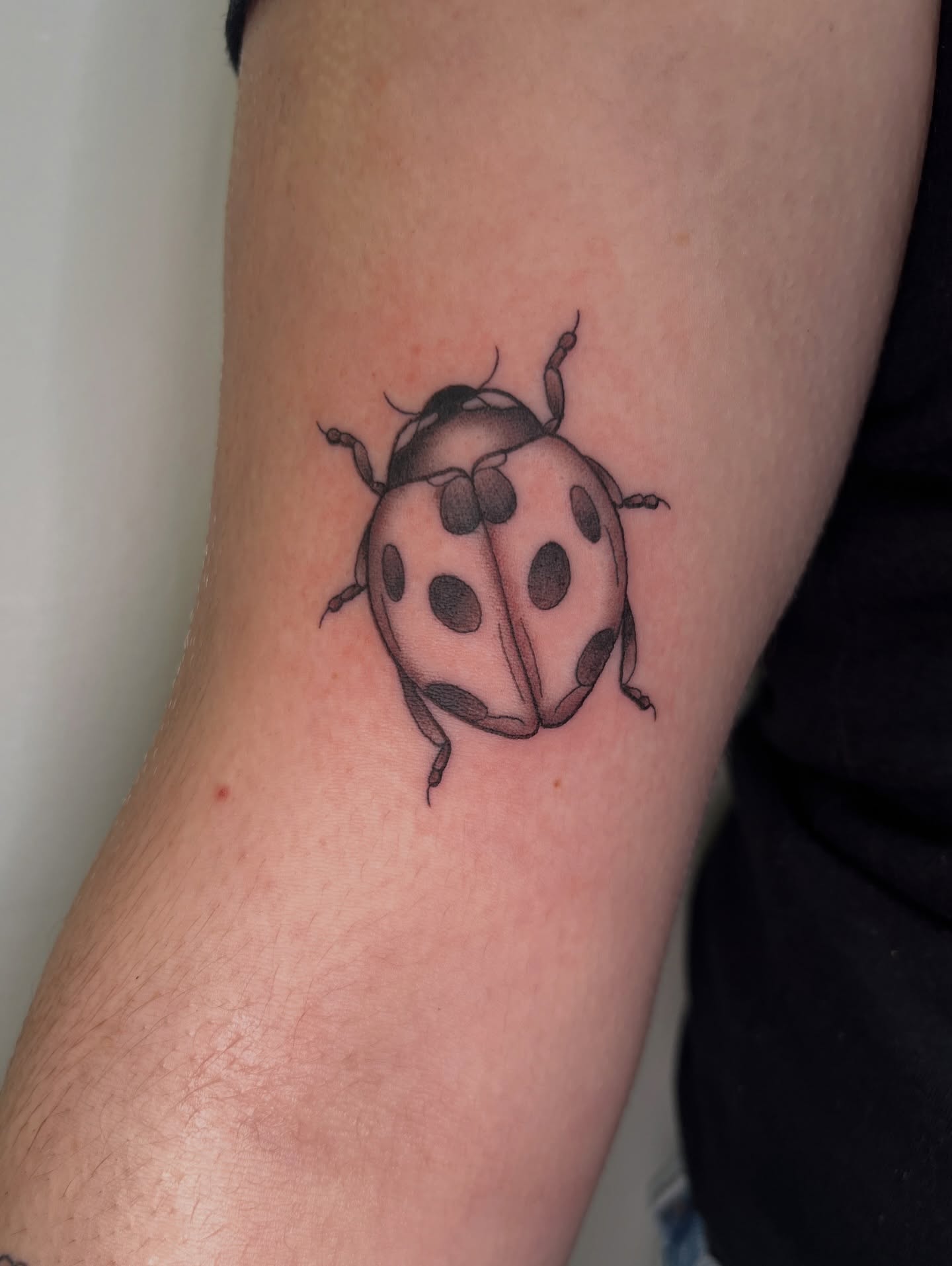 Ladybug realism tattoo on the forearm by Blair Schwartz, Asbury Park, New Jersey