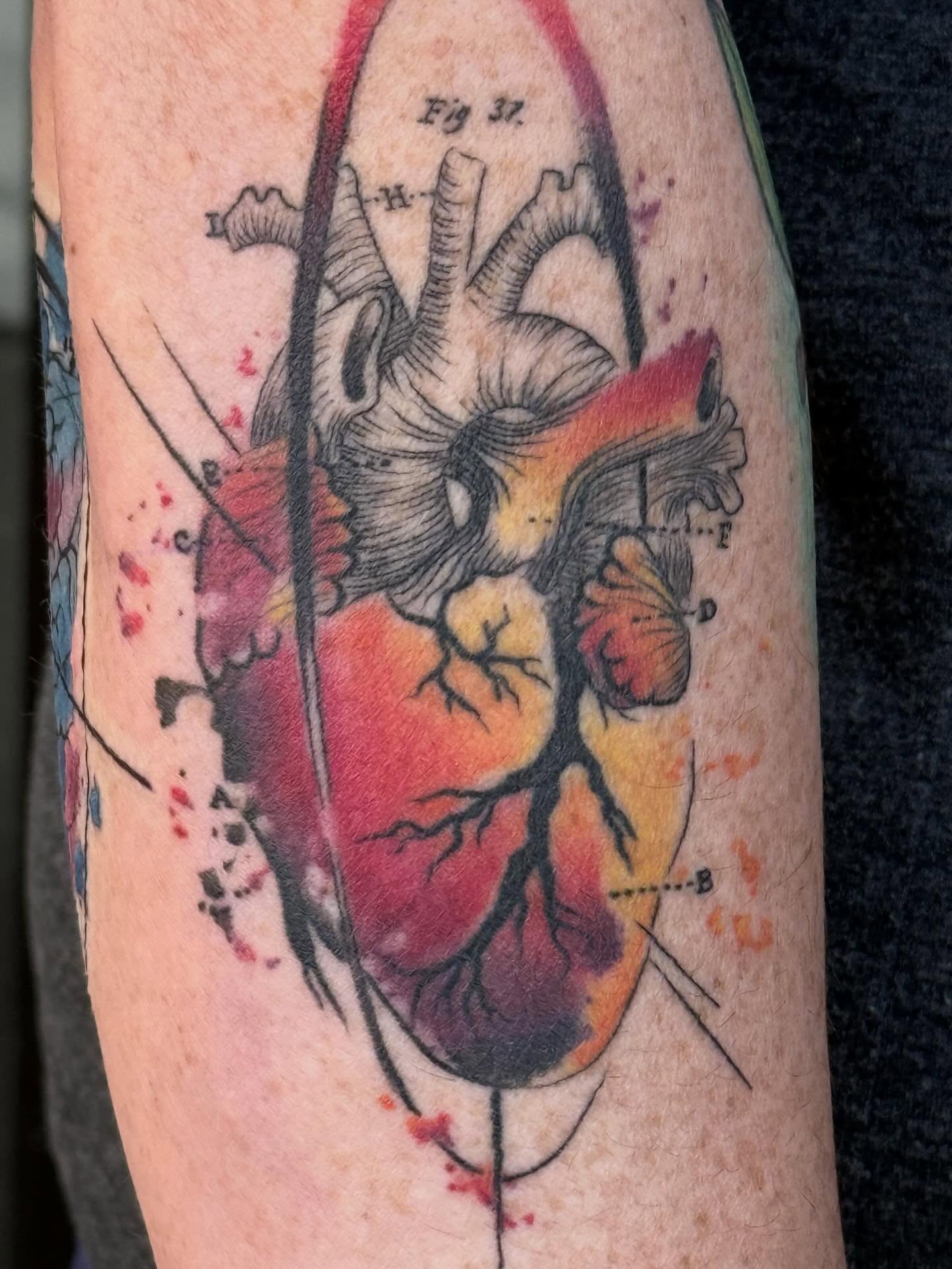 Tattoo by @trinatatuaje β realism, watercolor