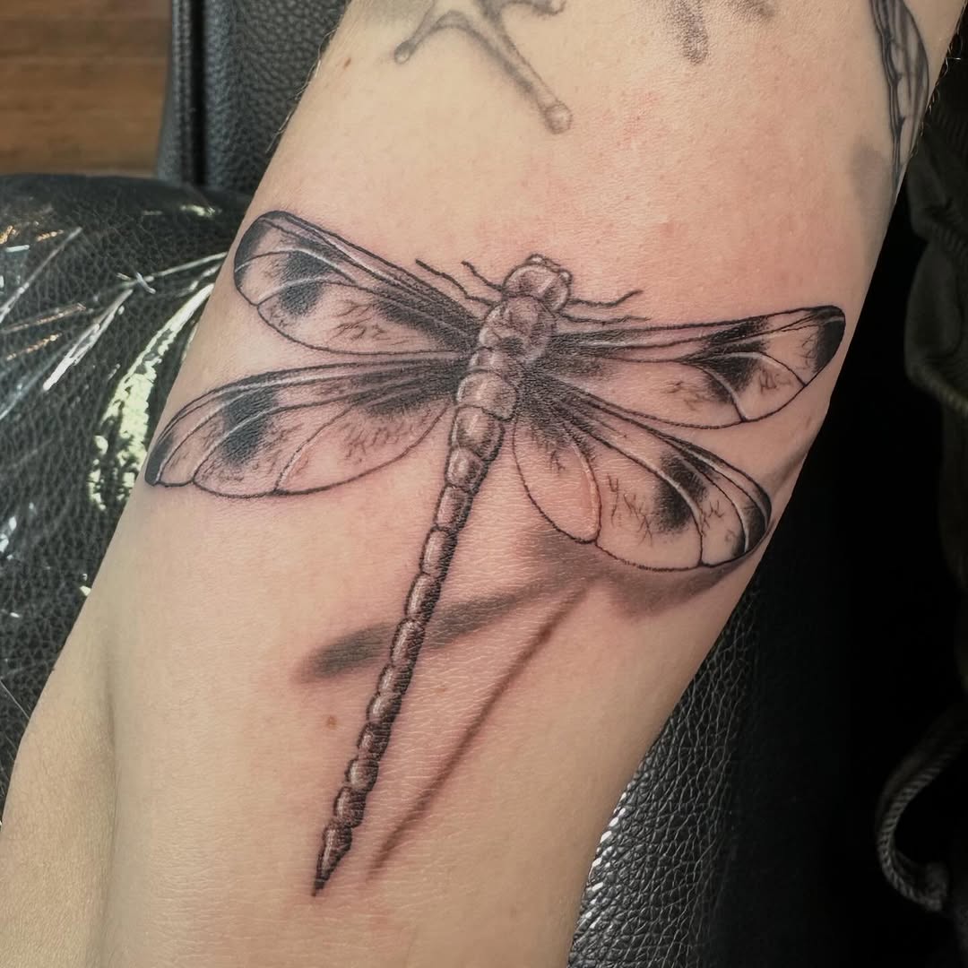 Dragonfly fine line tattoo on the forearm by Sarah Nash