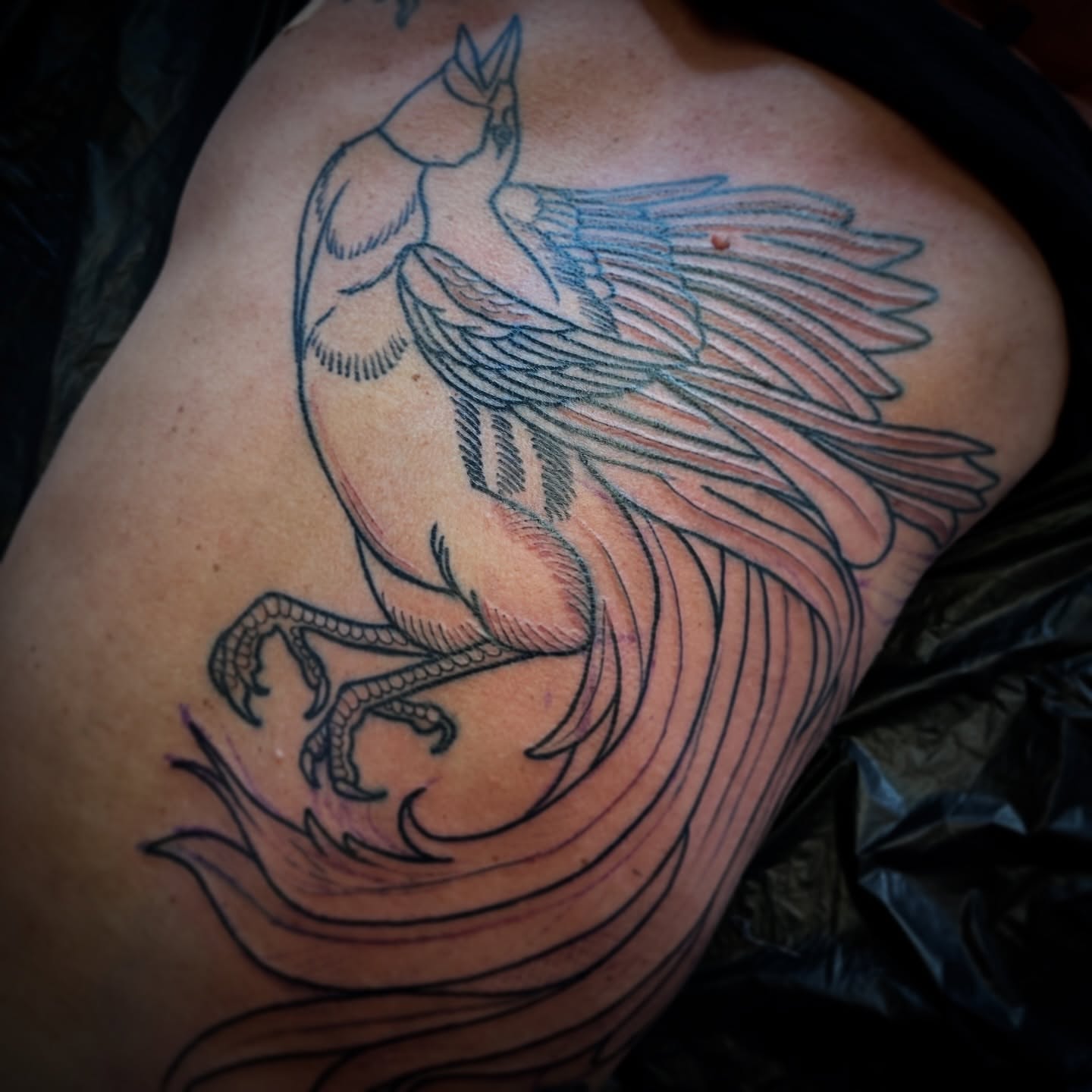 Tattoo by @yatush — neo_traditional, black_and_grey