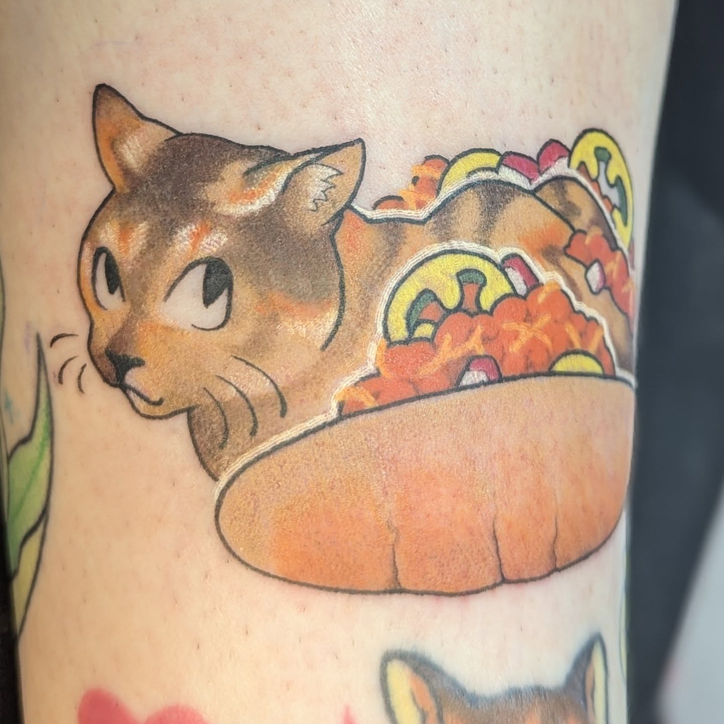 Cat taco American traditional tattoo on the forearm by Spencer Jennings, Westland, Michigan