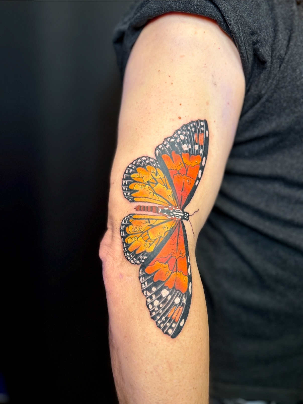 Monarch butterfly realism tattoo on the forearm by aria, Austin, Texas