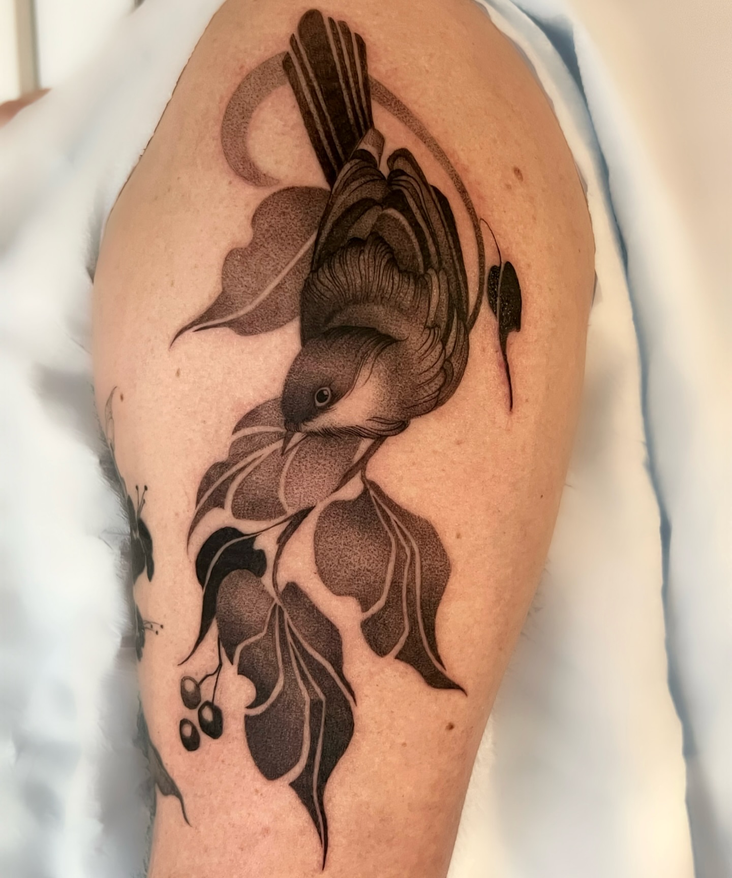 Bird and leaves realism tattoo on the shoulder by 𝑱𝒖𝒍𝒊𝒂𝒏𝒏𝒂 𝑴𝒆𝒏𝒏𝒂✥𝑷𝒉𝒊𝒍𝒂𝒅𝒆𝒍𝒑𝒉𝒊𝒂✥𝑩𝒍𝒂𝒄𝒌 𝒂𝒏𝒅 𝑮𝒓𝒂𝒚