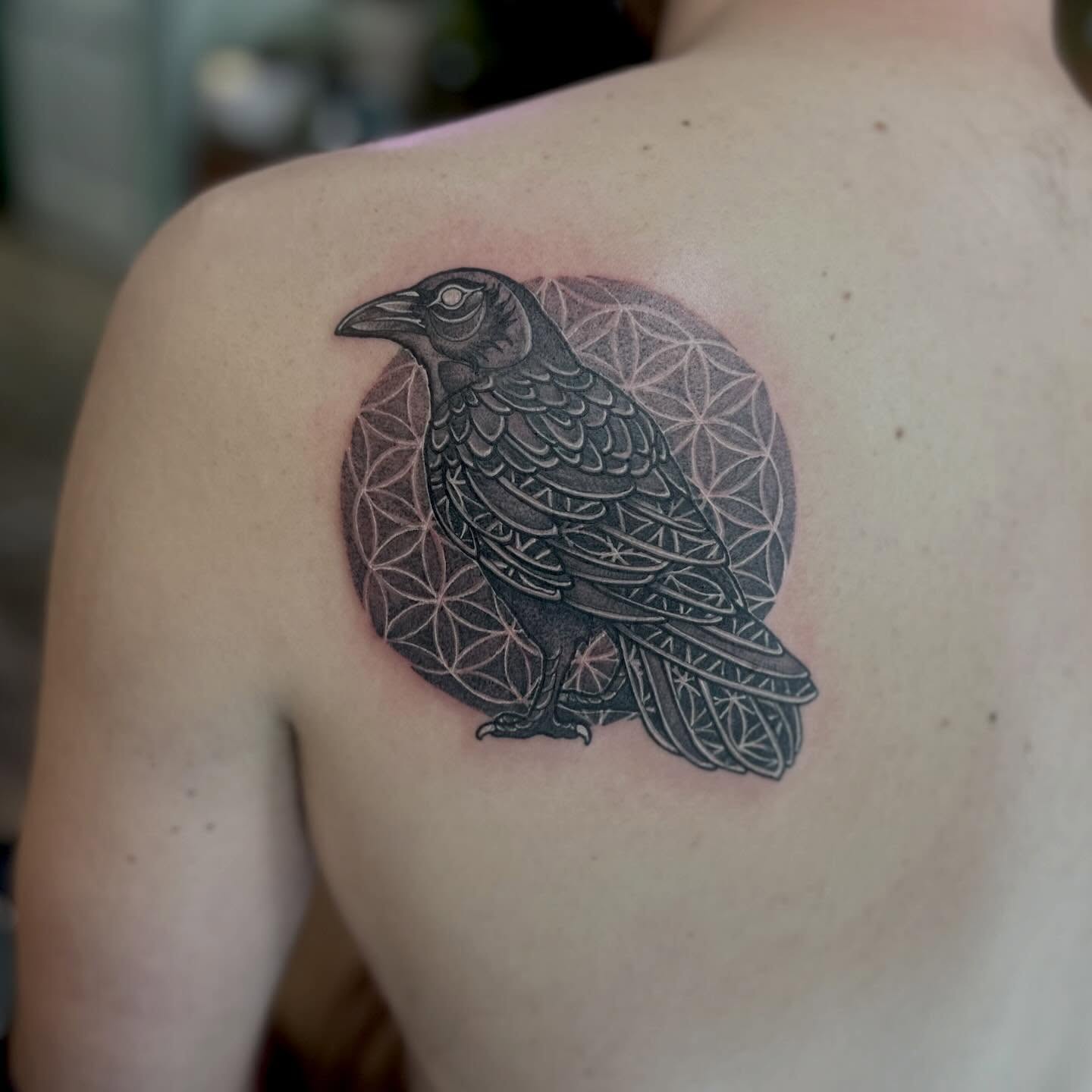 Crow black and grey tattoo on the shoulder by Leeuh Vandever