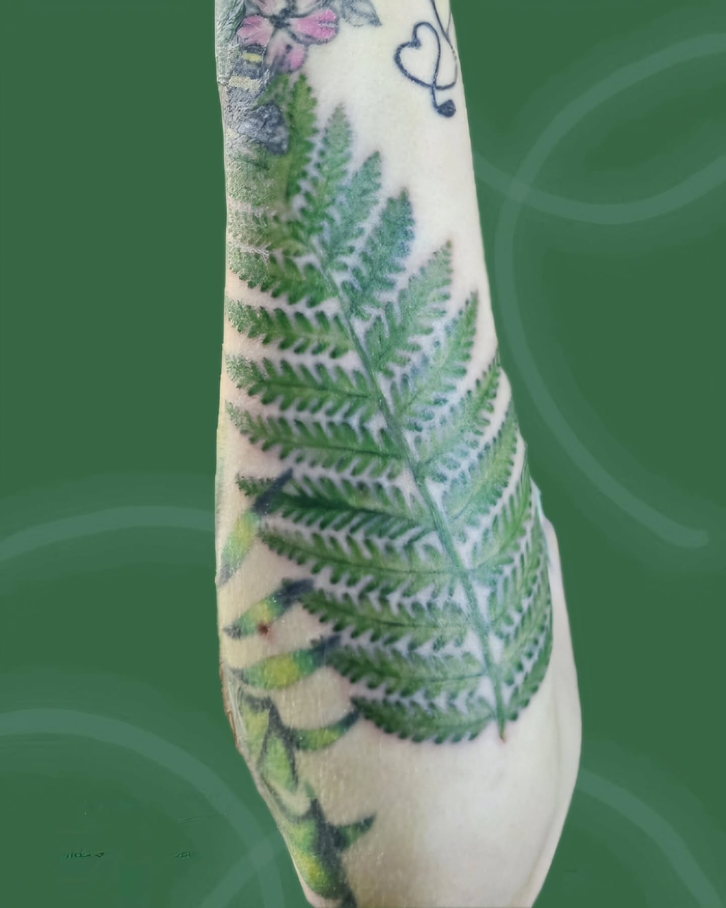 Fern leaf realism tattoo on the forearm by Ari 💠🧜‍♂️🐟🎨🦑🐚💠