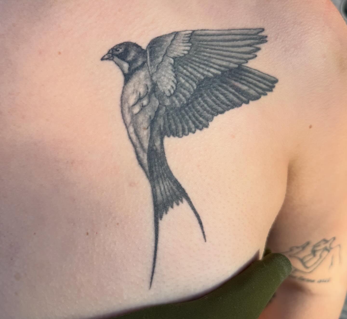 Swallow black and grey tattoo on the shoulder by CAT