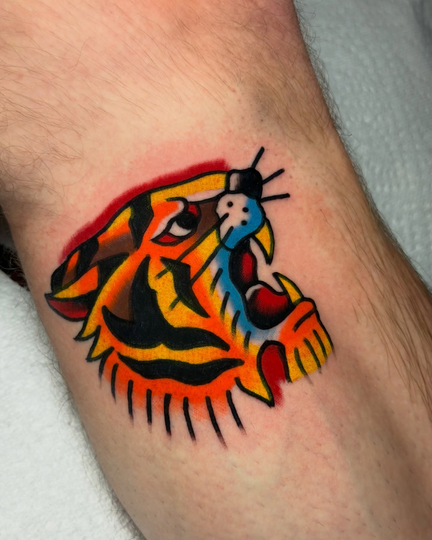 Tiger and bird American traditional tattoo on the forearm by Kyle Dean Traditional Tattoo Artist