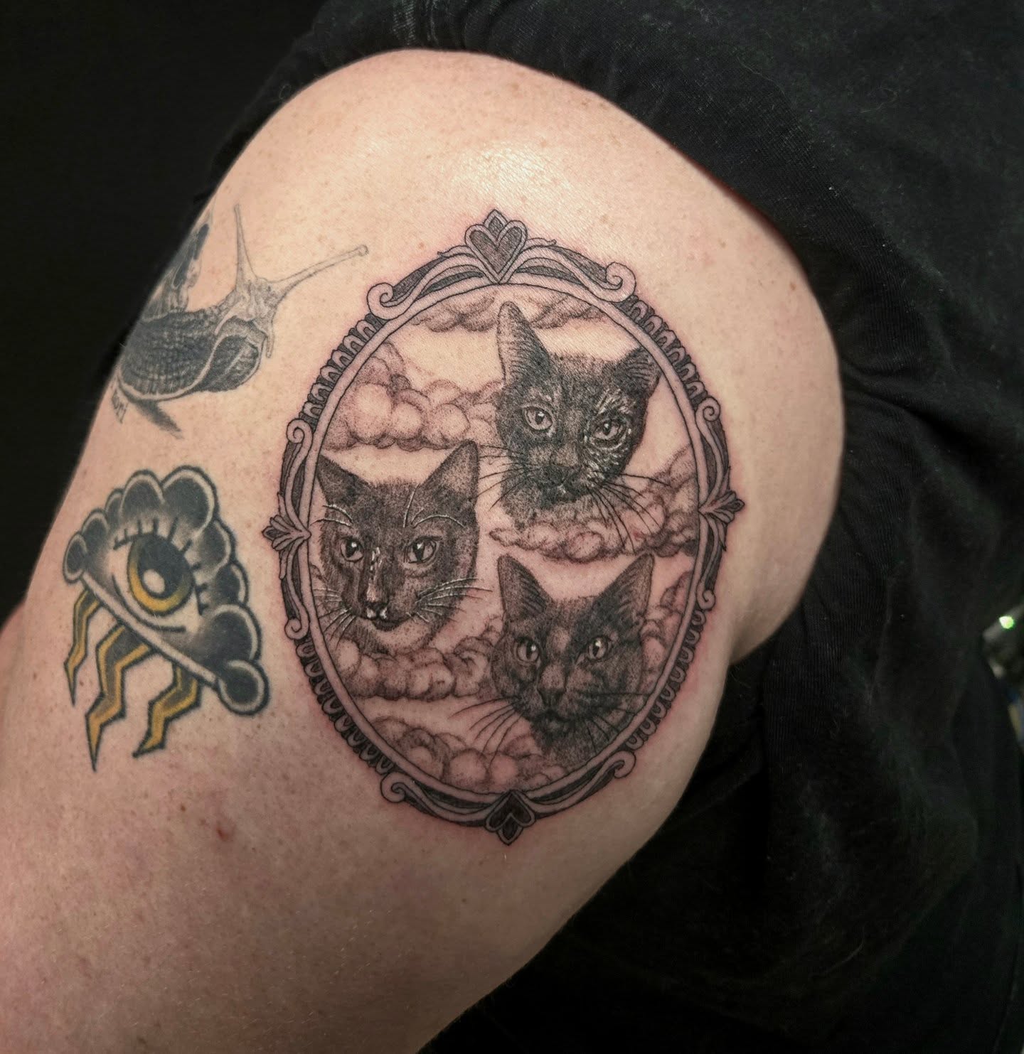Three cats realism tattoo on the shoulder by Perry