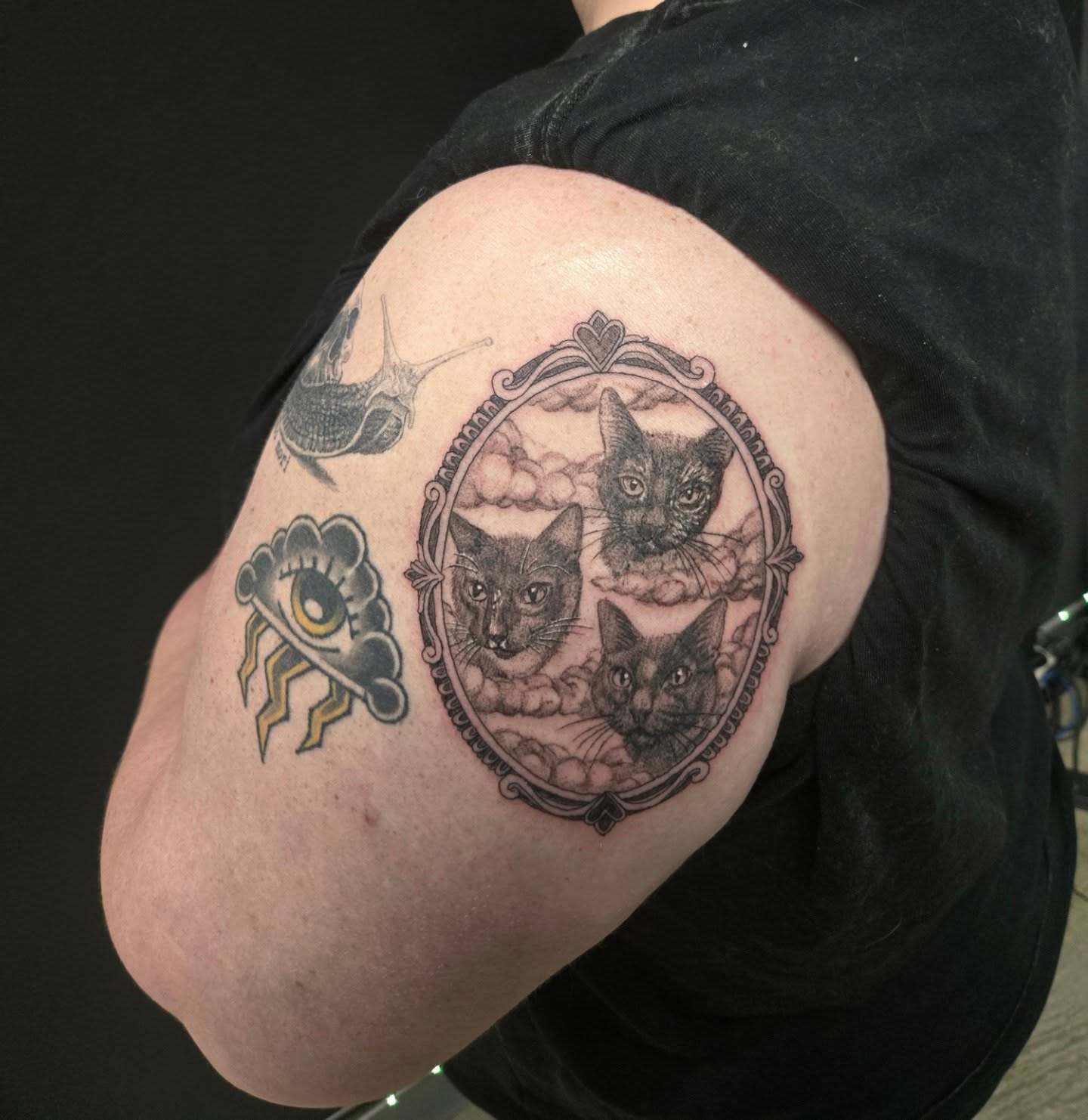 Three cats realism tattoo on the shoulder by Perry