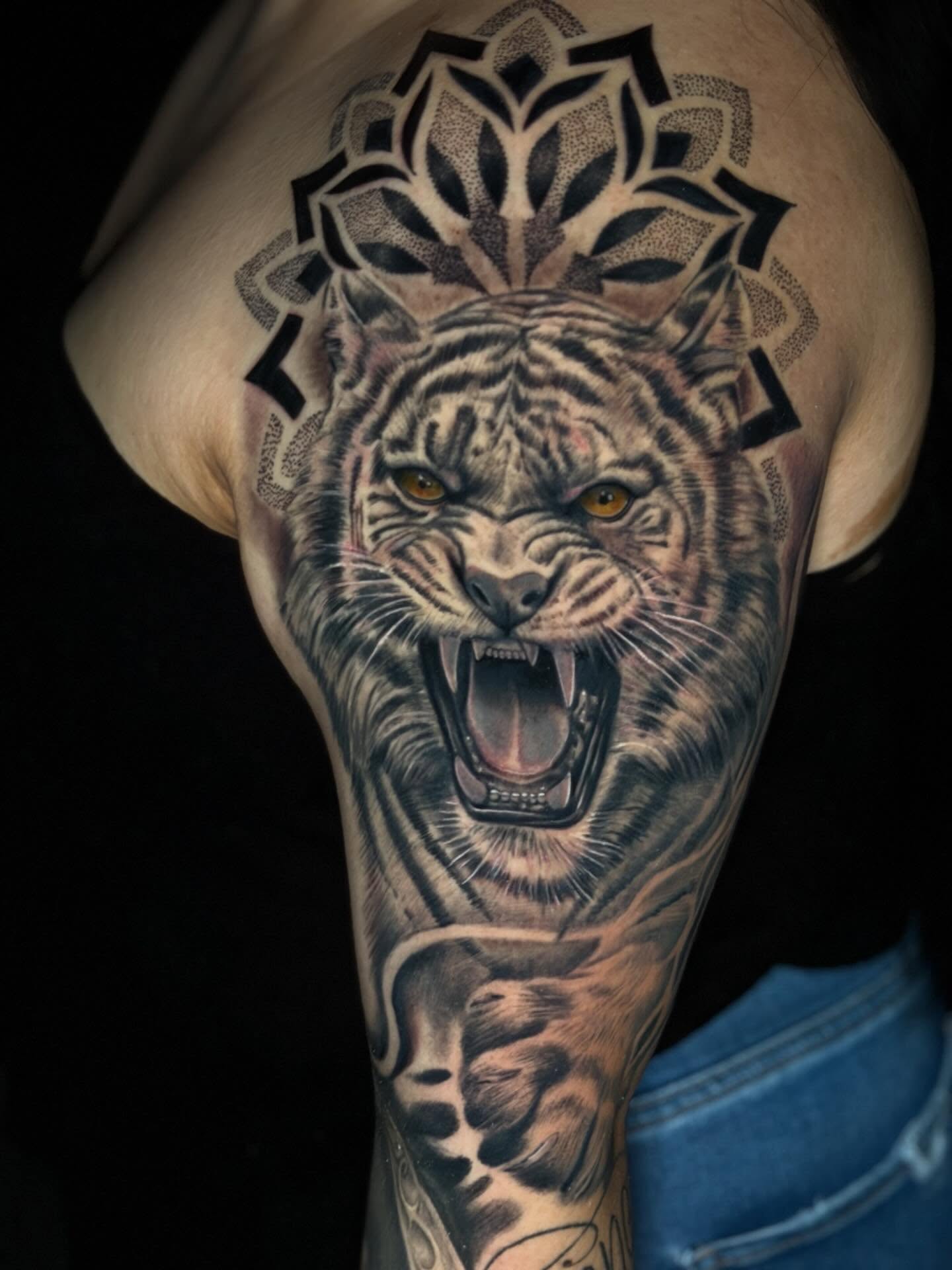 Tiger realism tattoo on the forearm by Dany