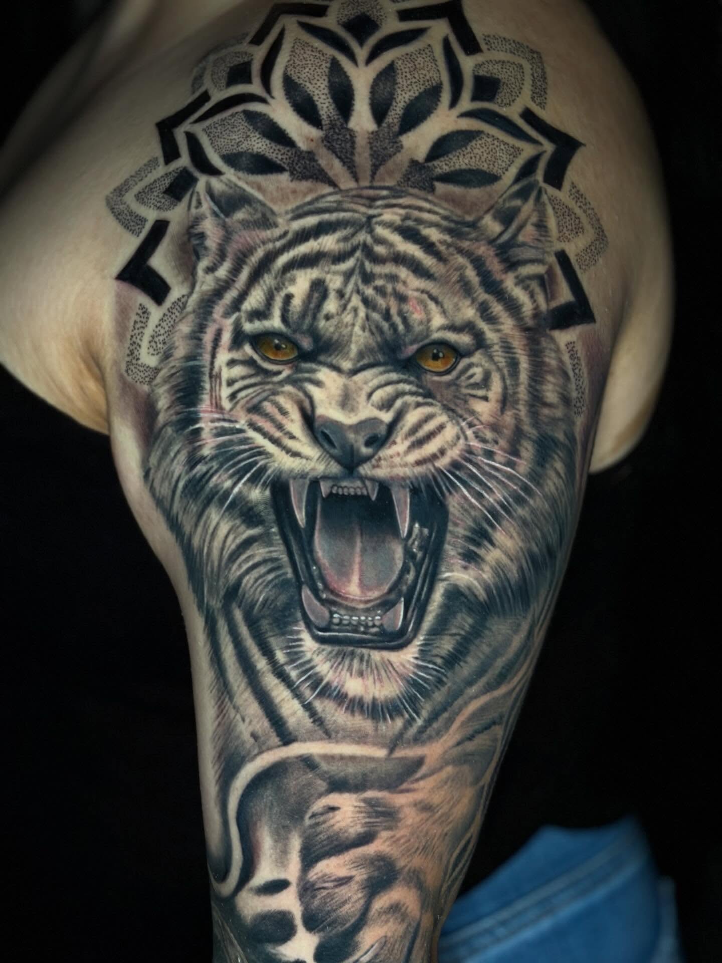 Roaring tiger realism tattoo on the forearm by Dany