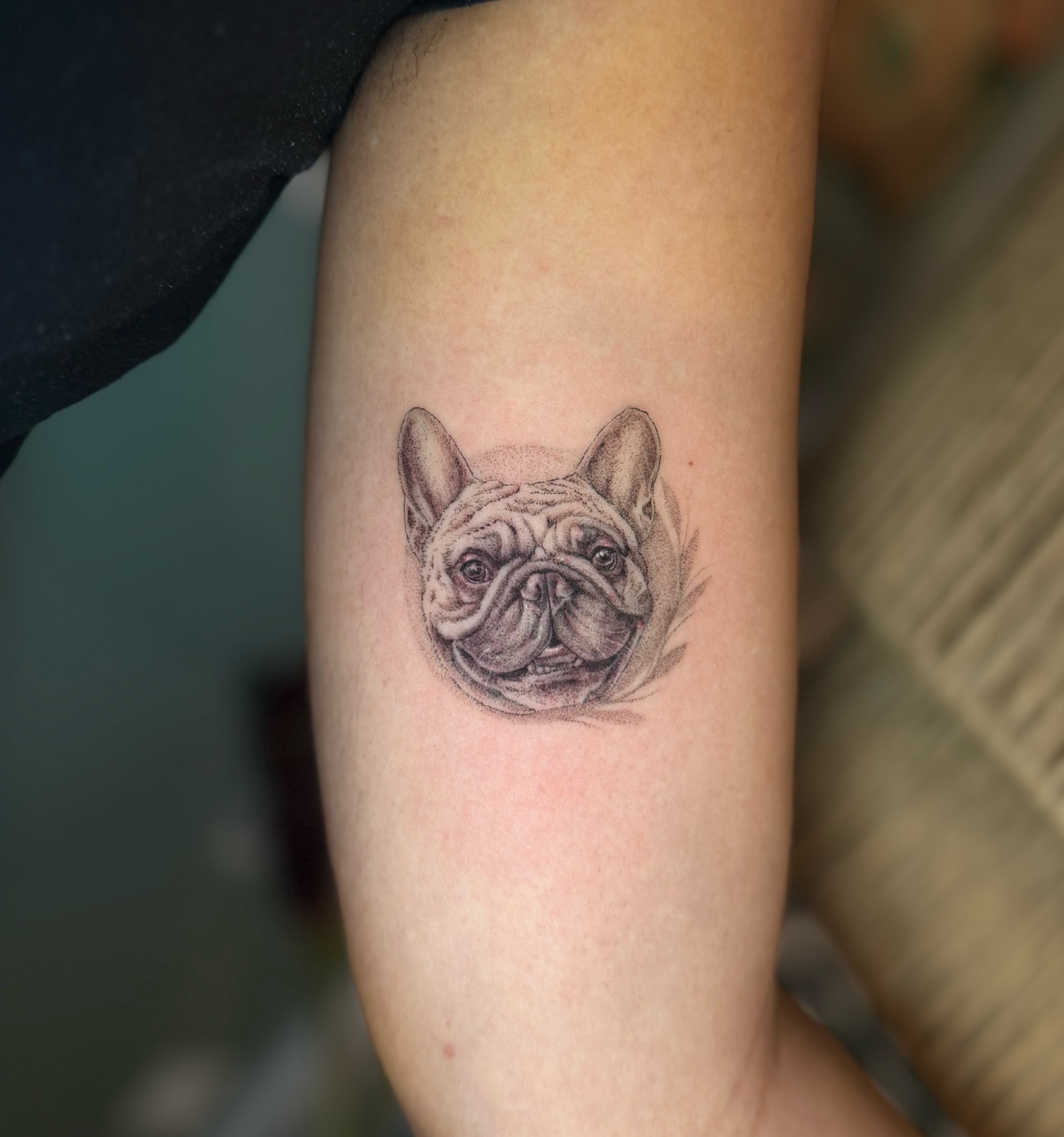 French bulldog dotwork tattoo on the forearm by Lo Boverod - La Passoire  - Tatoueuse -
