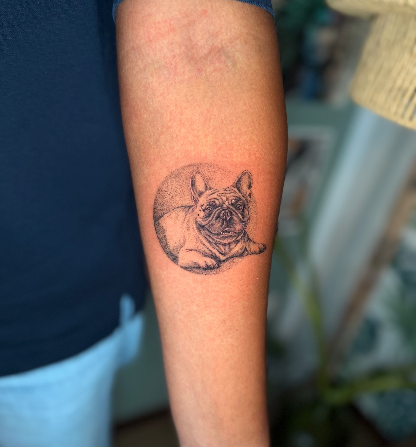 French bulldog dotwork tattoo on the forearm by Lo Boverod - La Passoire  - Tatoueuse -