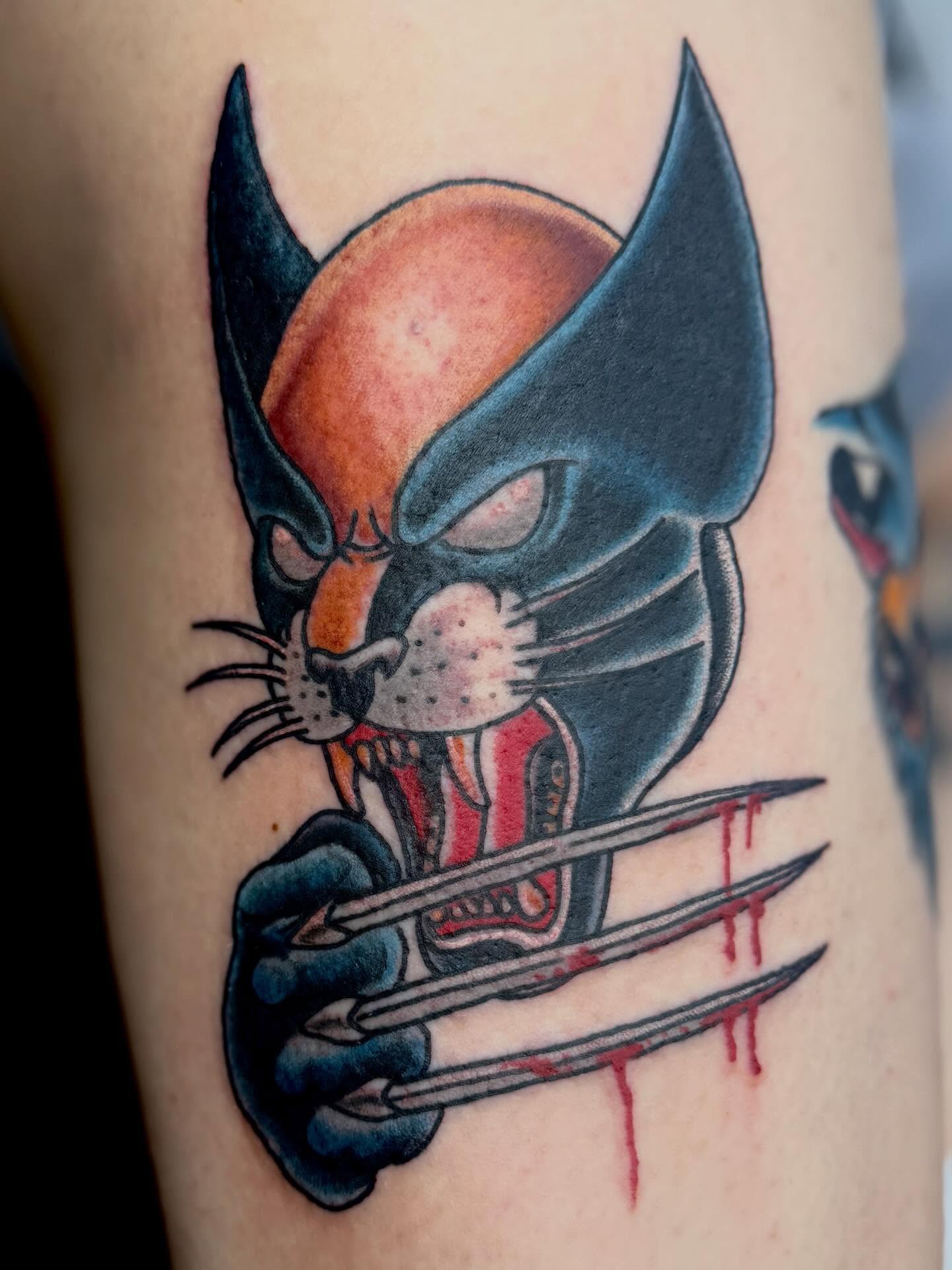 Wolverine American traditional tattoo on the forearm by Trent Parsley