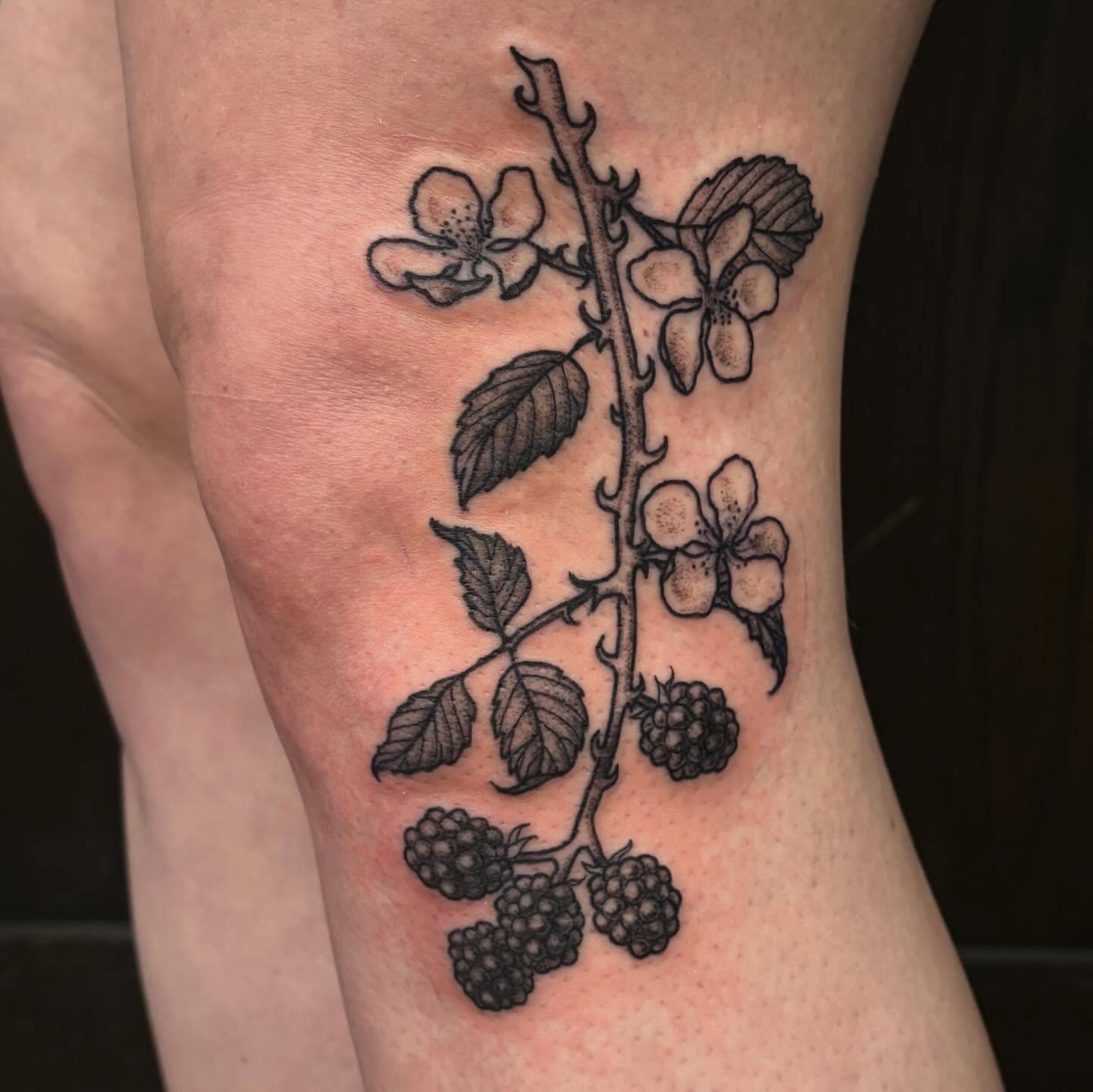 Blackberry branch black and grey tattoo on the forearm by kane