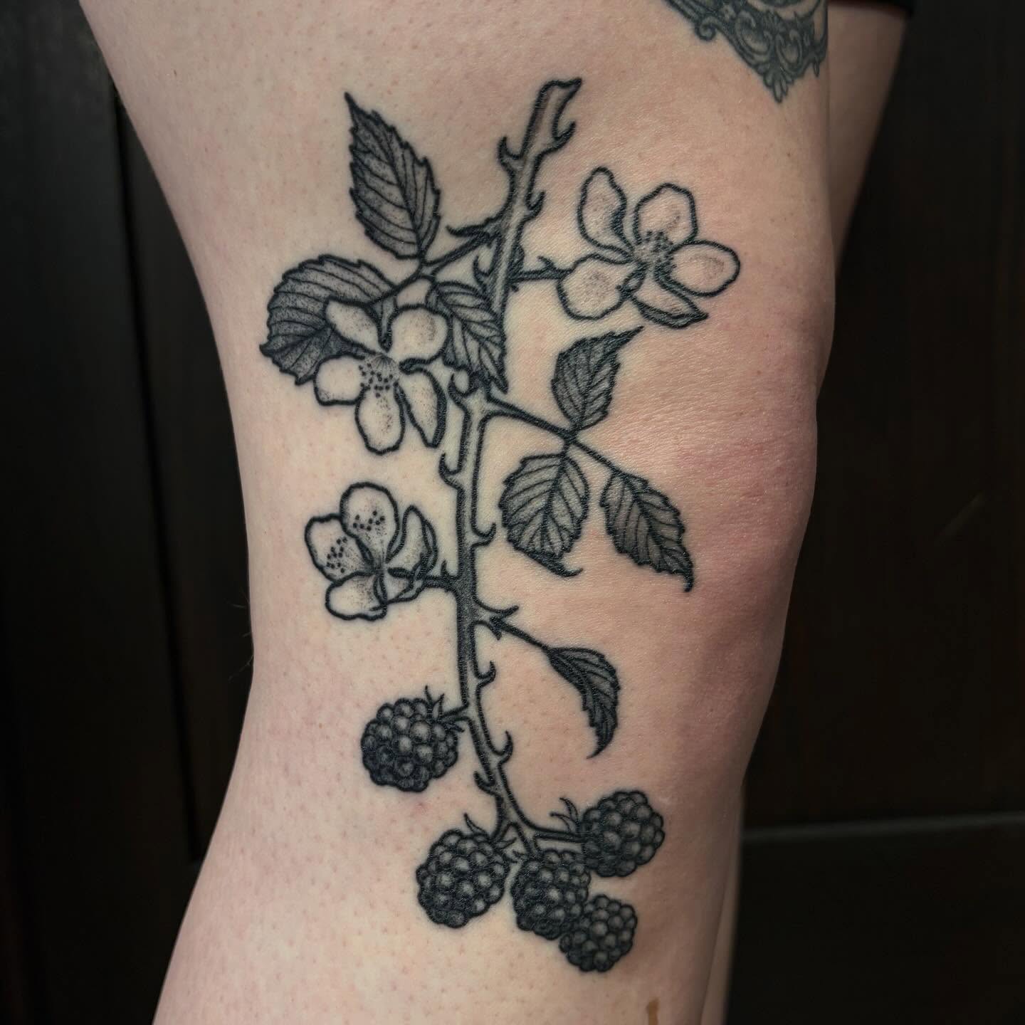 Blackberry branch black and grey tattoo on the forearm by kane