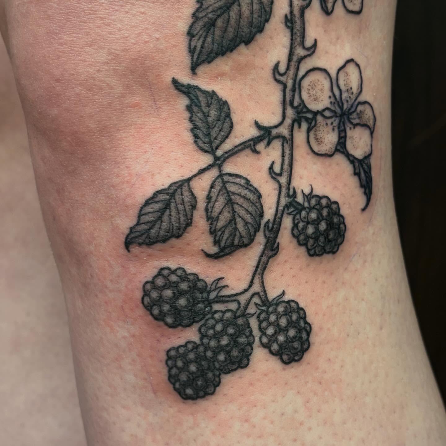 Blackberry plant black and grey tattoo on the forearm by kane