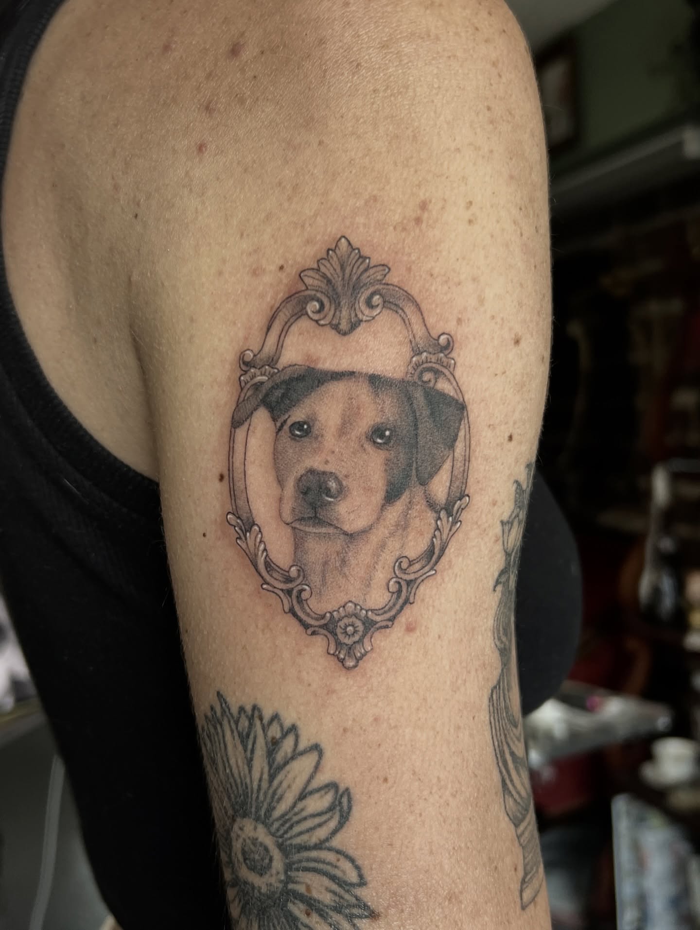 Dog portrait realism tattoo on the forearm by ✶ H A N N A H K A y ✶