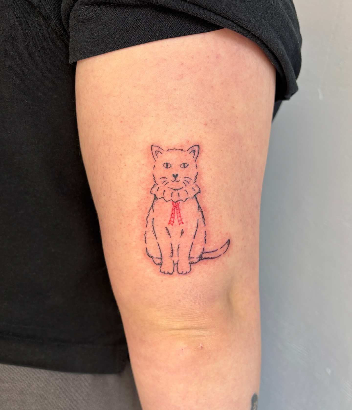 Cat wearing a ruffled collar illustrative tattoo on the thigh by Raye