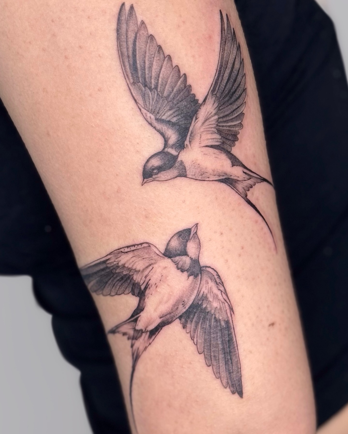 Swallows black and grey tattoo on the forearm by Suzy