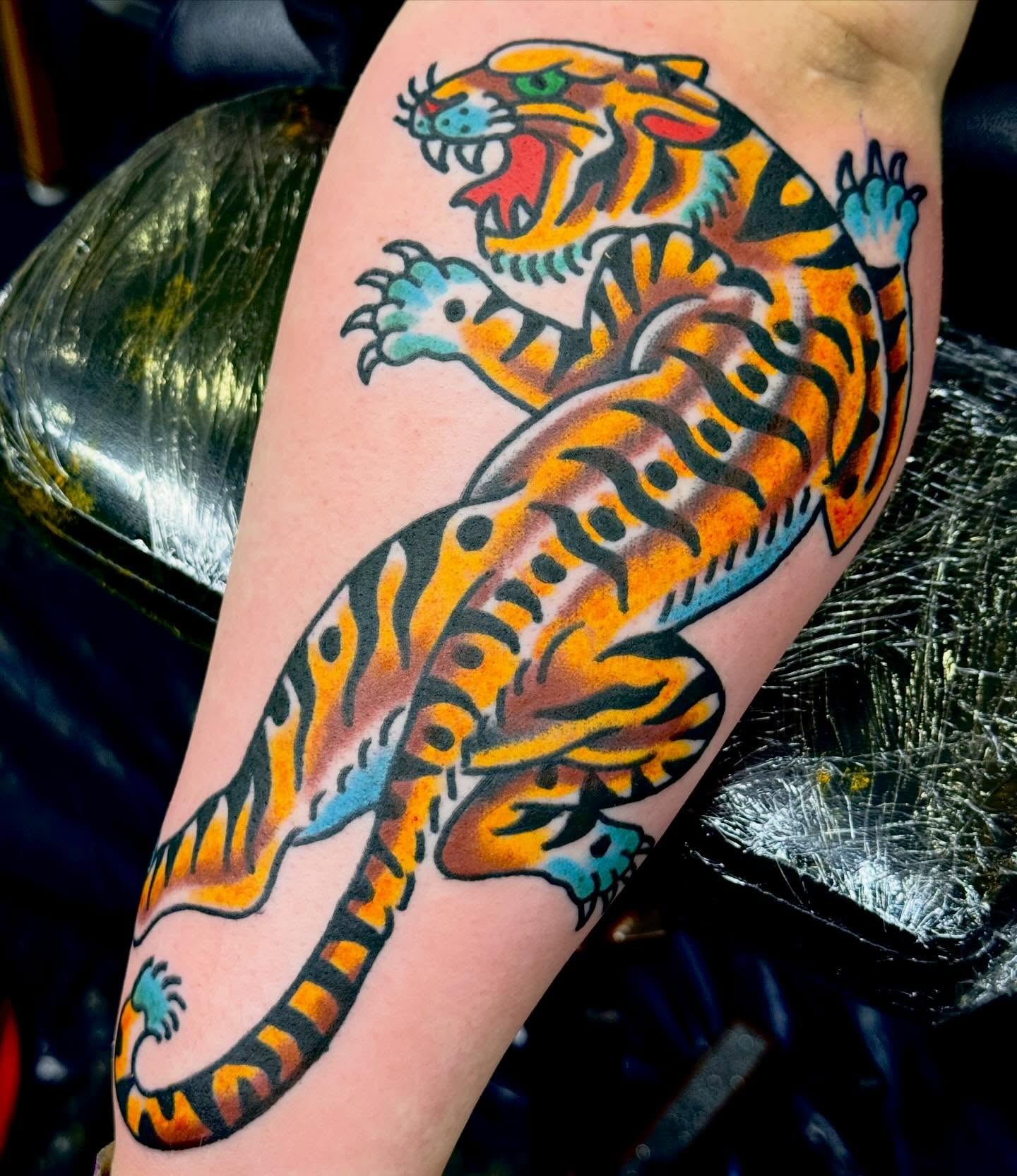 Tiger American traditional tattoo on the forearm by Sam Hambrick, Watchung NJ