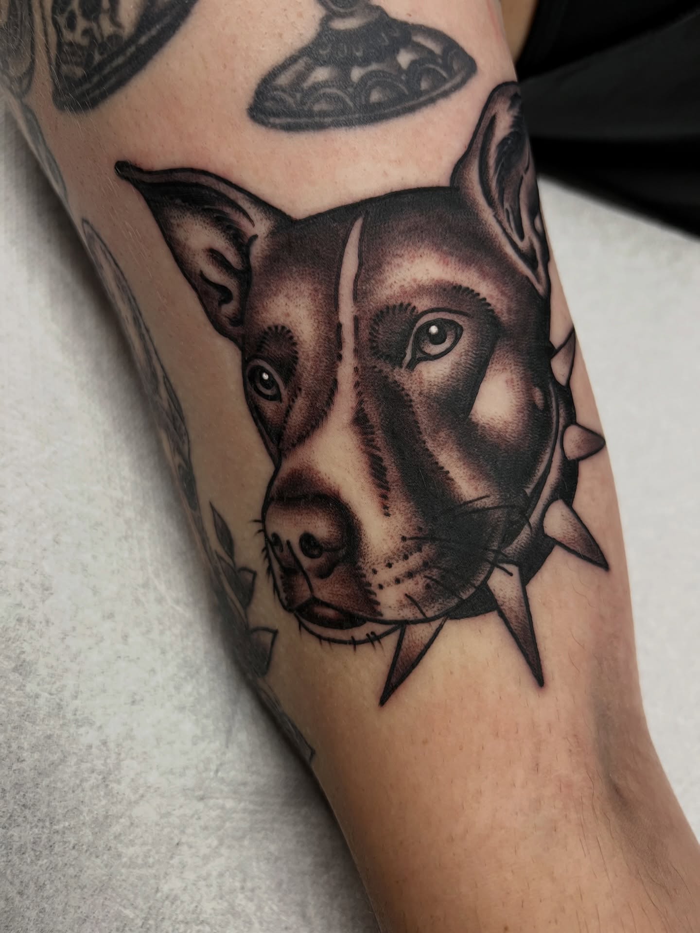 Dog head realism tattoo on the forearm by Kelsey Lane