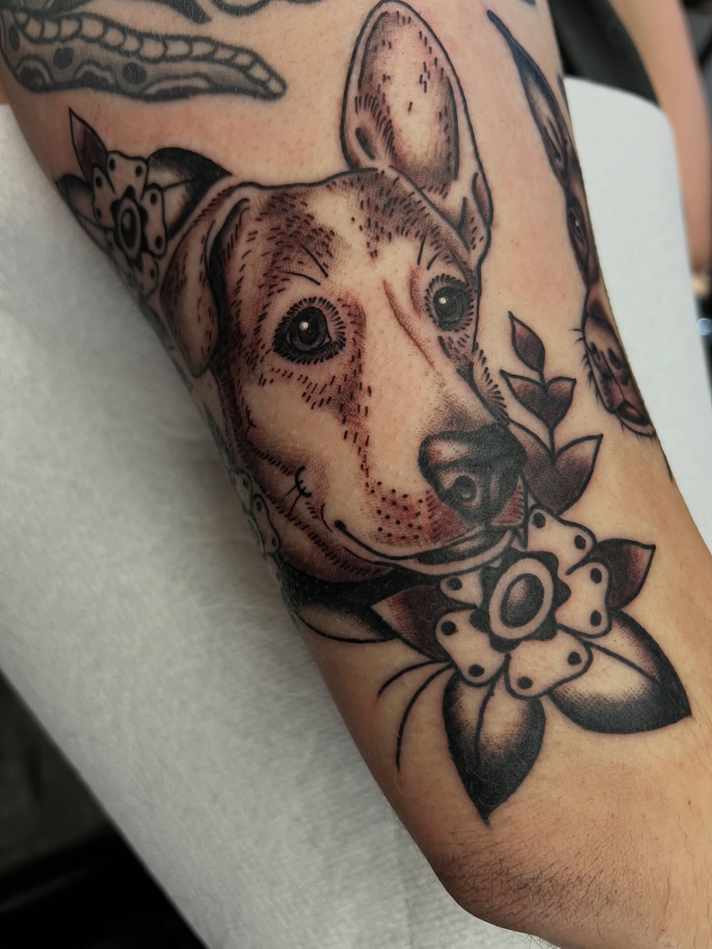 Dog realism tattoo on the forearm by Kelsey Lane