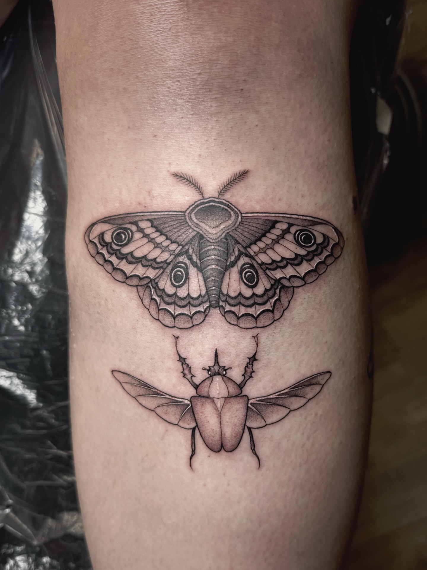Tattoo by @audreymicheletattoos — black_and_grey, realism