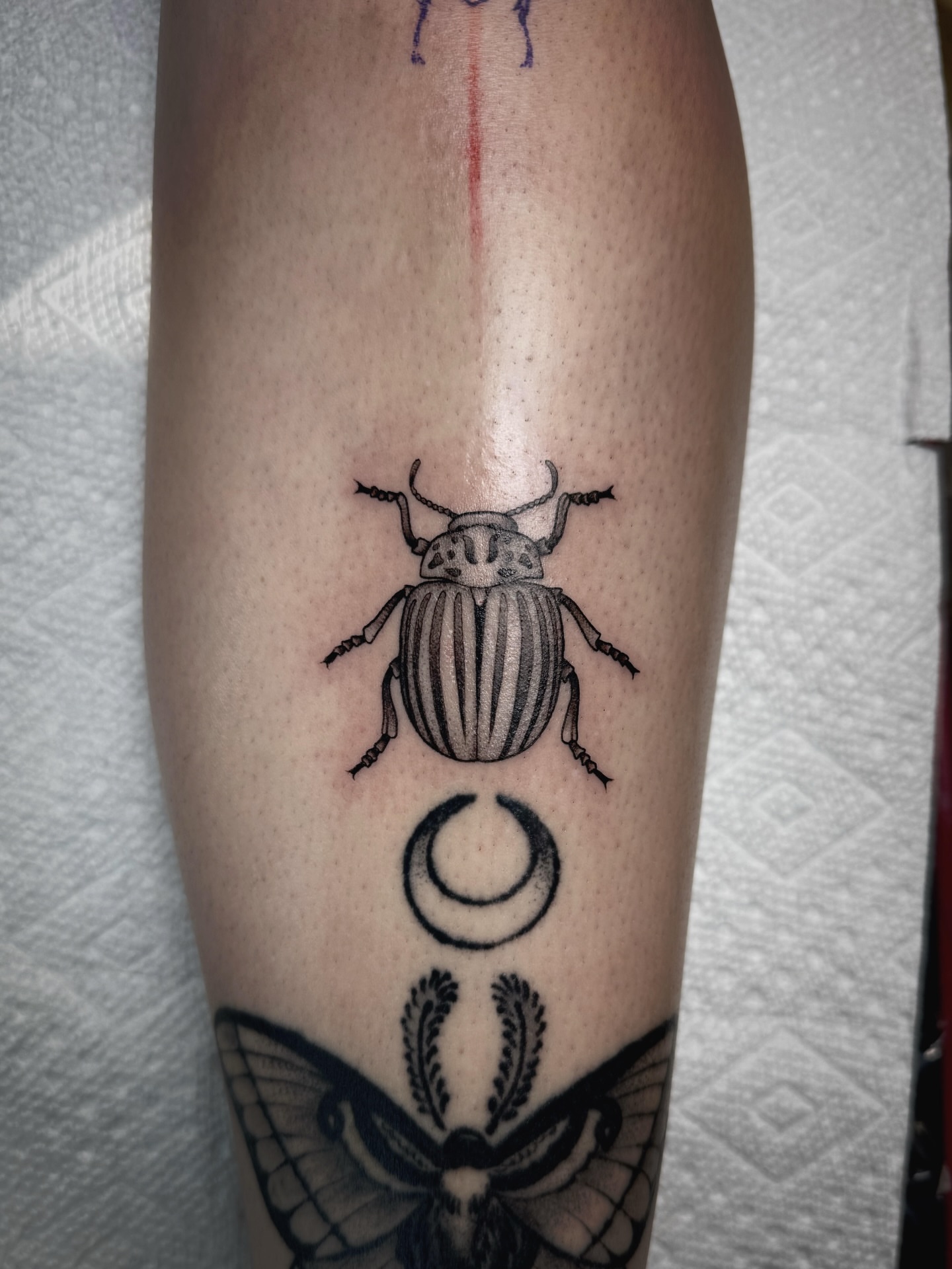 Tattoo by @audreymicheletattoos — black_and_grey