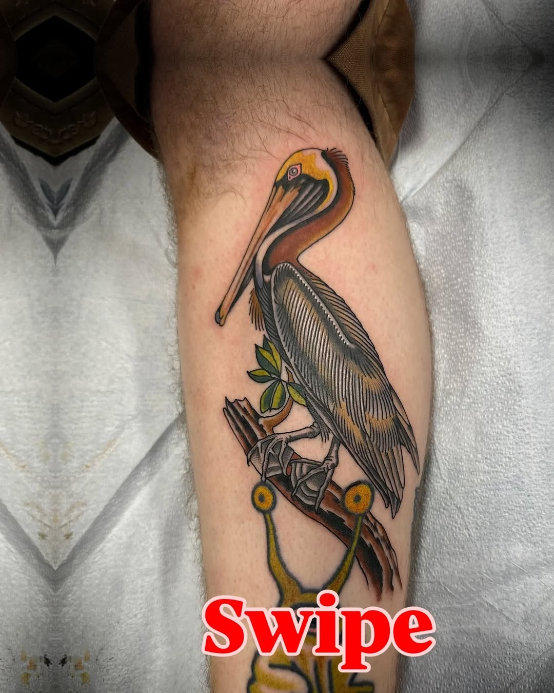 Pelican on a branch sketch tattoo on the forearm by @jose.phinelynch