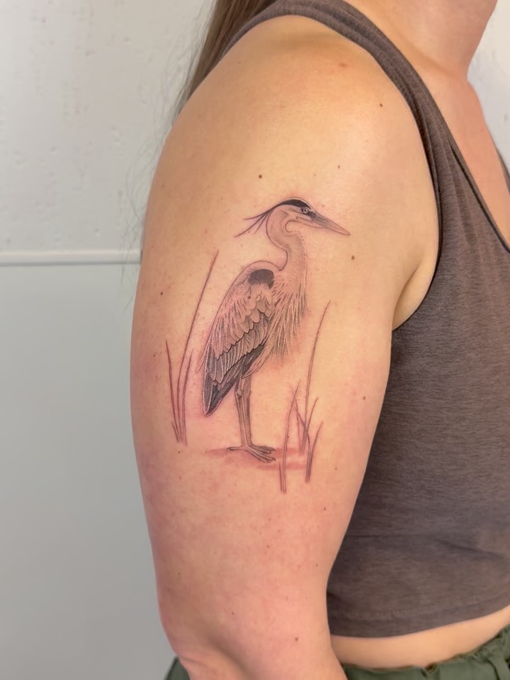 Heron realism tattoo on the shoulder by Justin Turkus