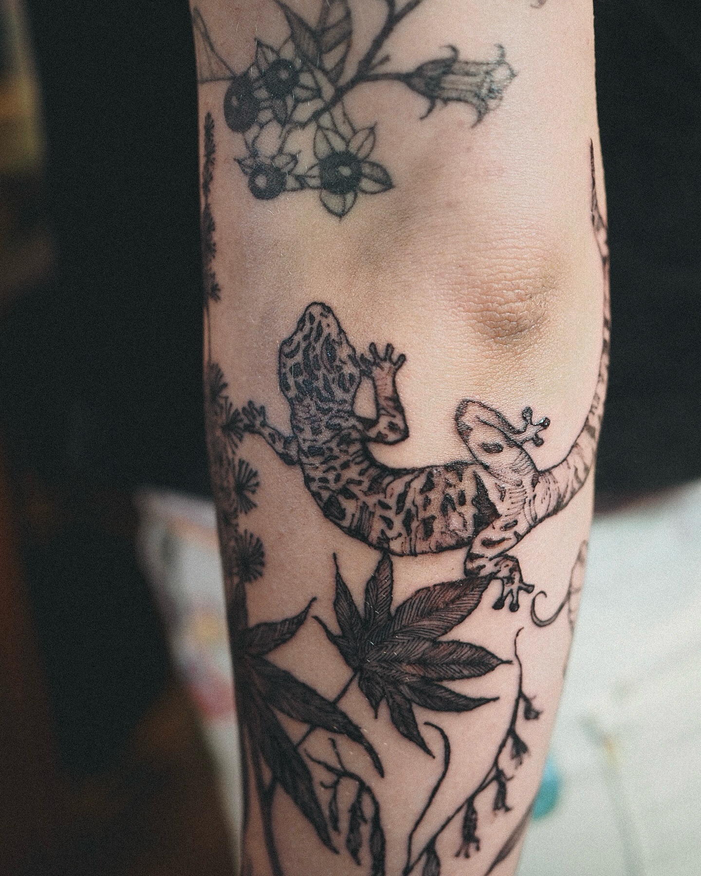 Gecko and foliage realism tattoo on the forearm by Inks by Nastia