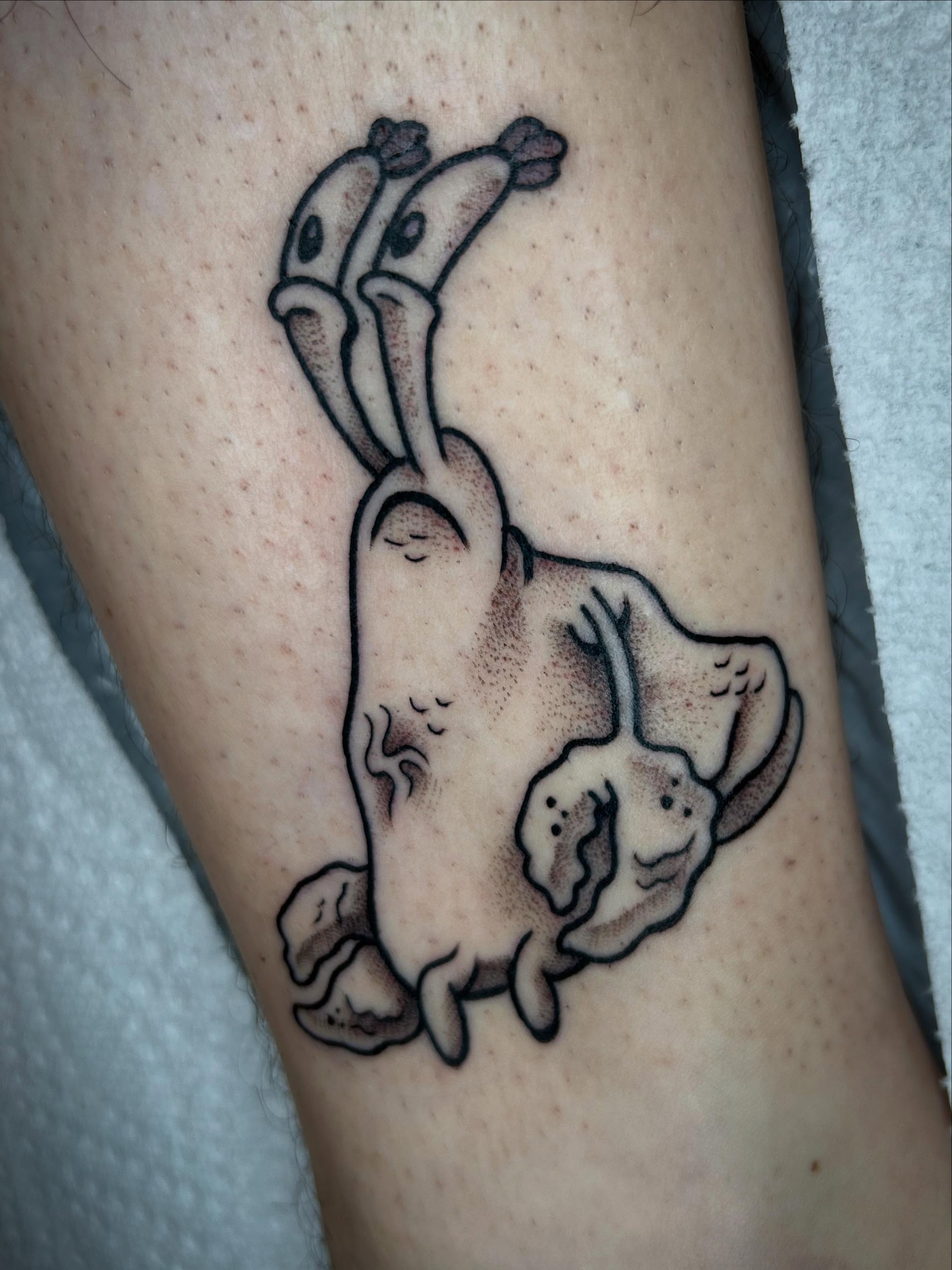 Octopus dotwork tattoo on the forearm by Cassidy Hammer, Westland, Michigan