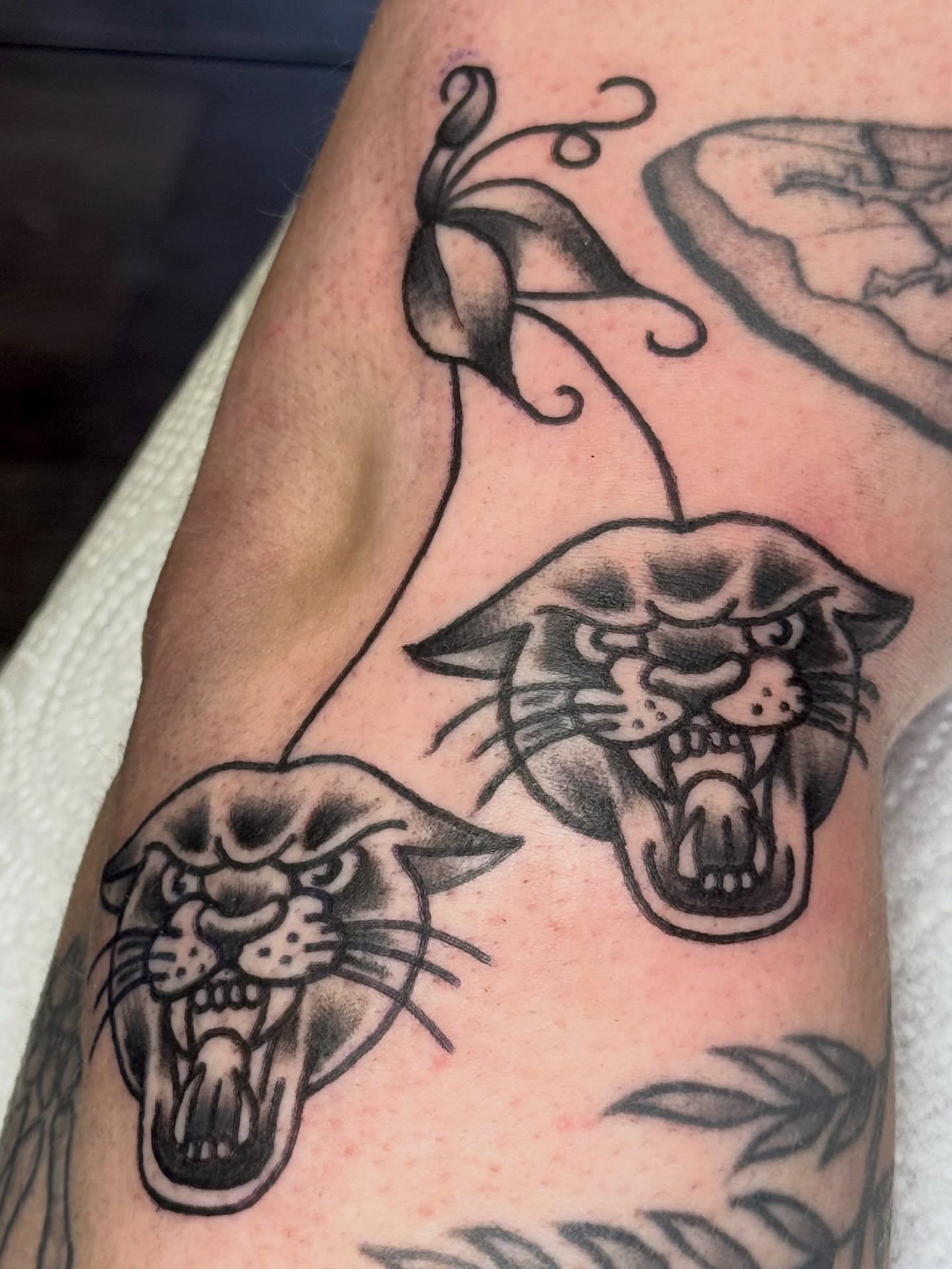 Panthers American traditional tattoo on the forearm by Erica Mirella
