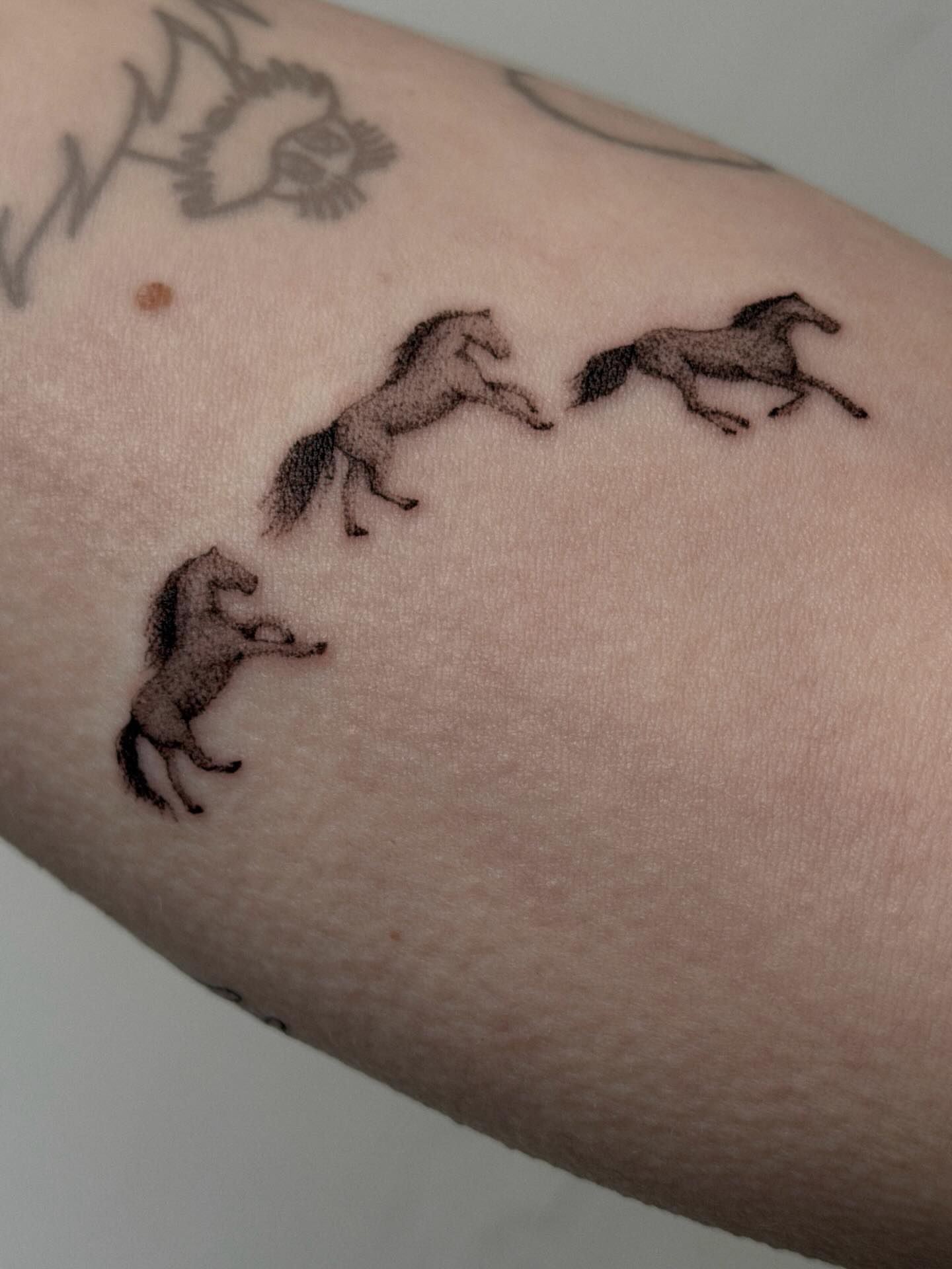 Horses black and grey tattoo on the forearm by Hannah Matthews