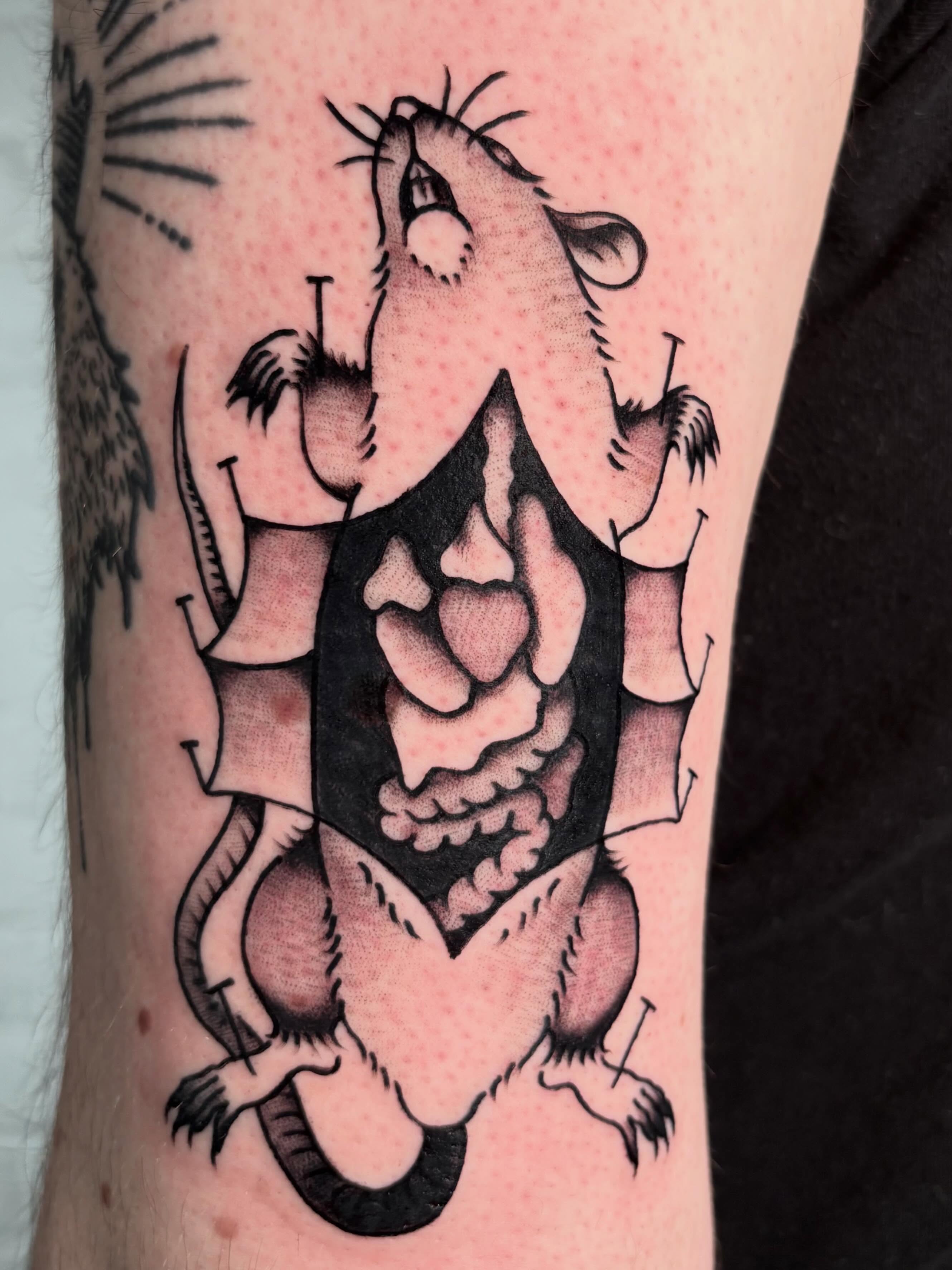 Rat black and grey tattoo on the forearm by Lorelei