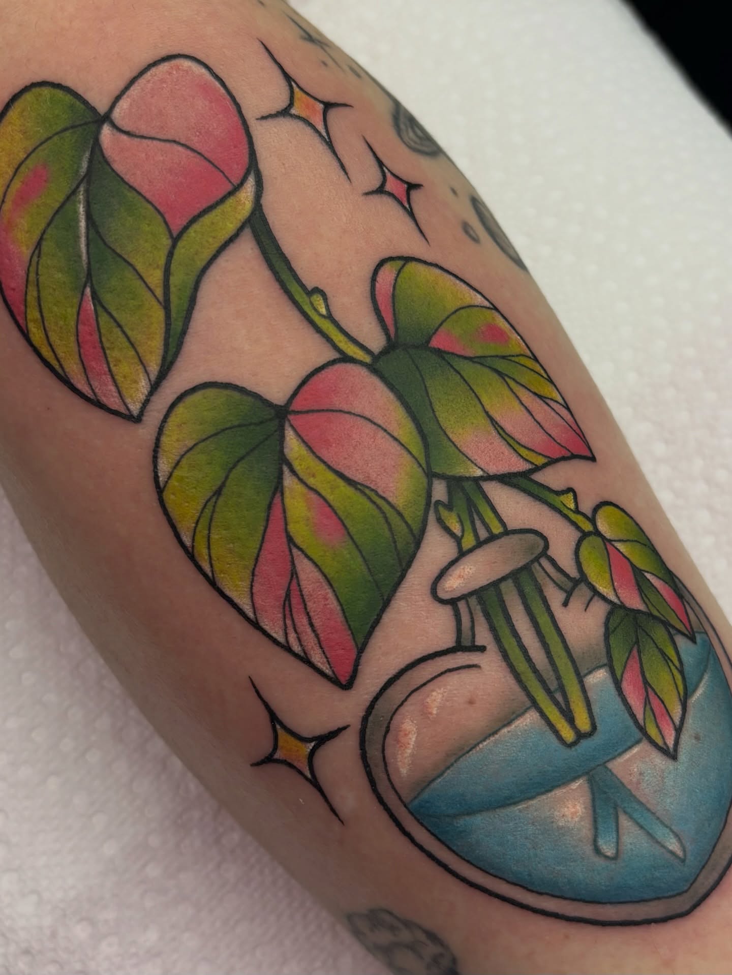 Plant and vase American traditional tattoo on the forearm by Lilac Rose