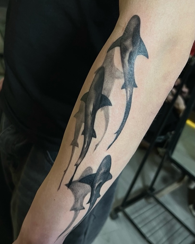 Sharks black and grey tattoo on the forearm by Asap tattoo