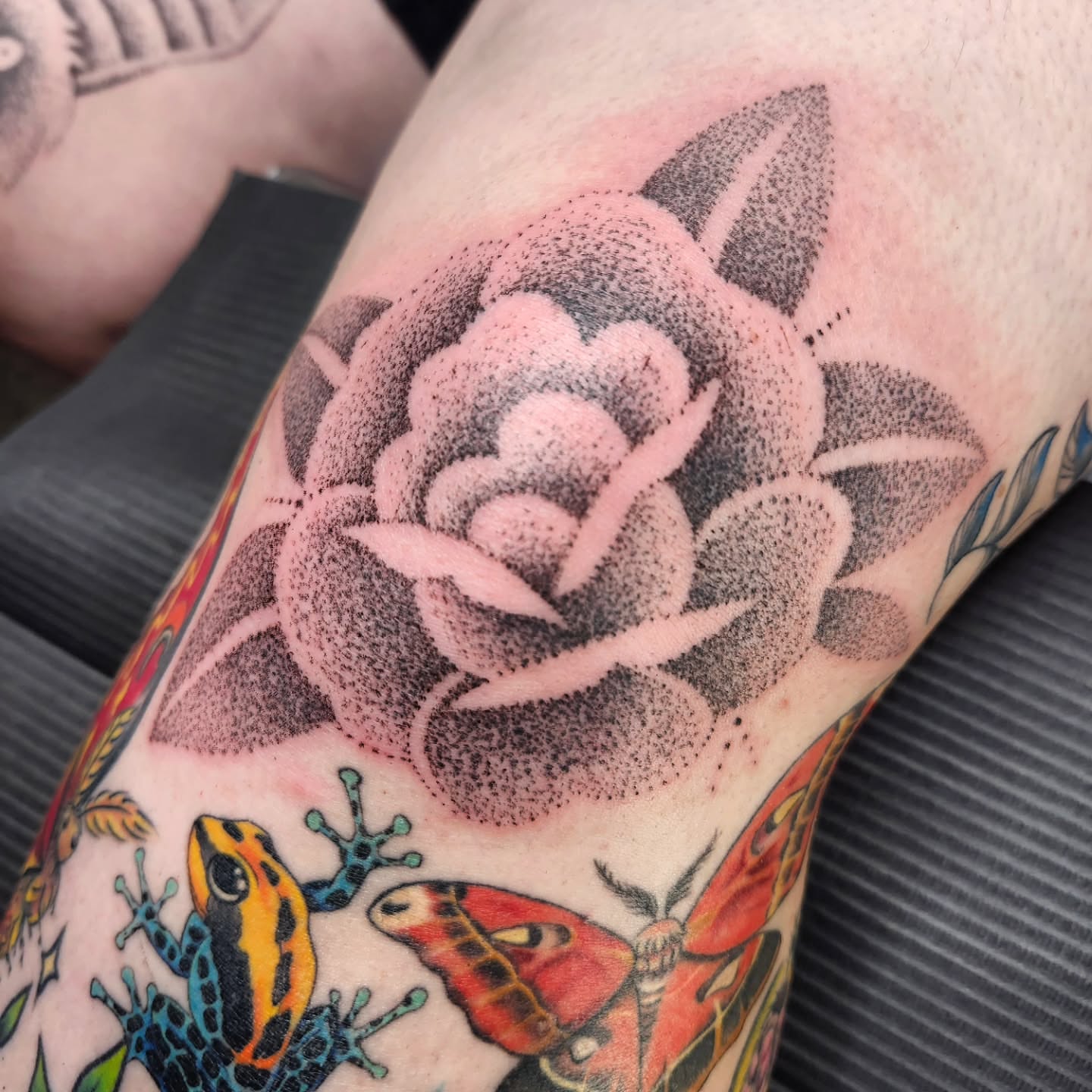 Rose dotwork tattoo on the forearm by Kelly Zito