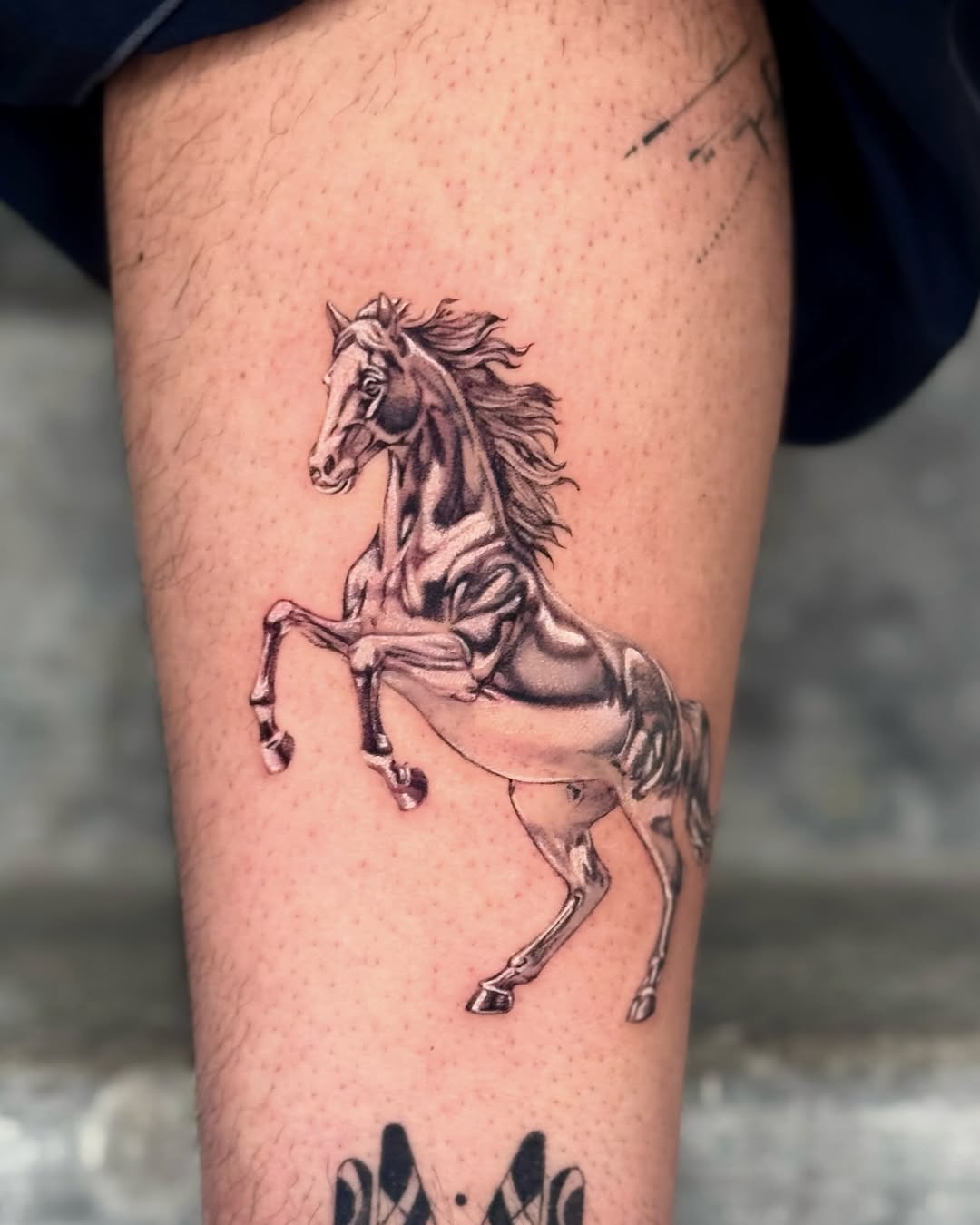 Tattoo by Em .°˖✧, Brooklyn, NY