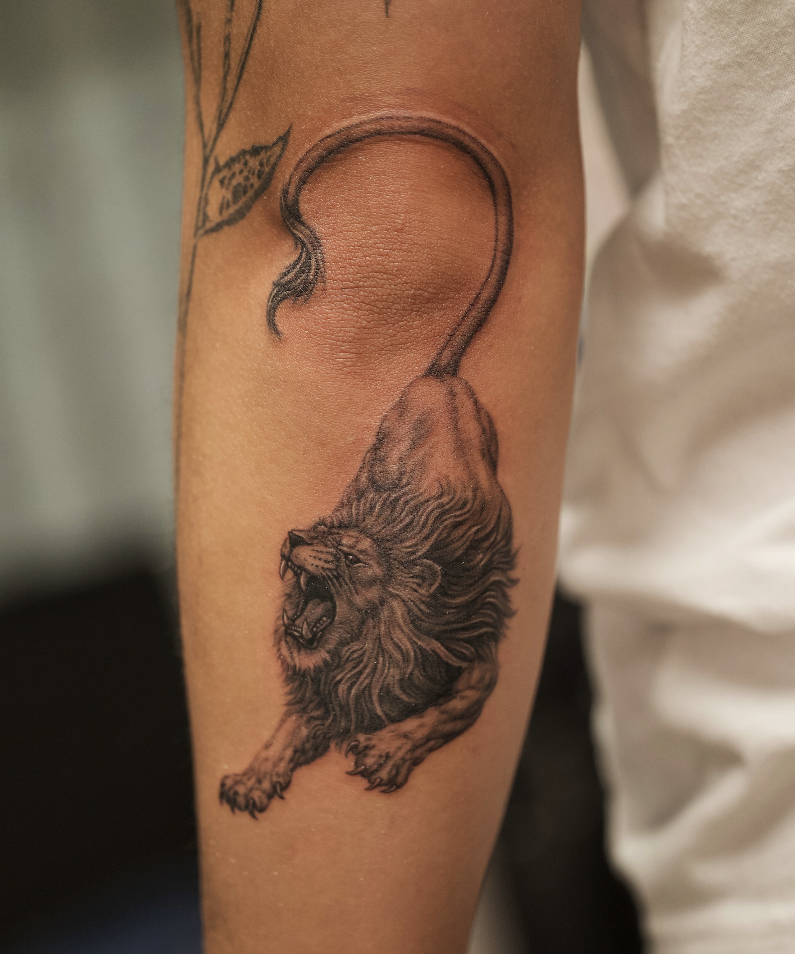 Roaring lion black and grey tattoo on the forearm by Damon_modoink