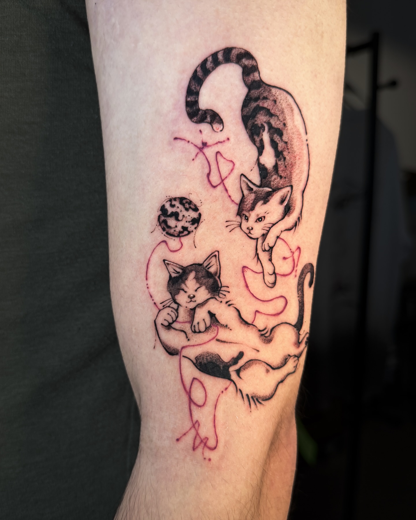 Cats black and grey tattoo on the forearm by мια ѕυη
