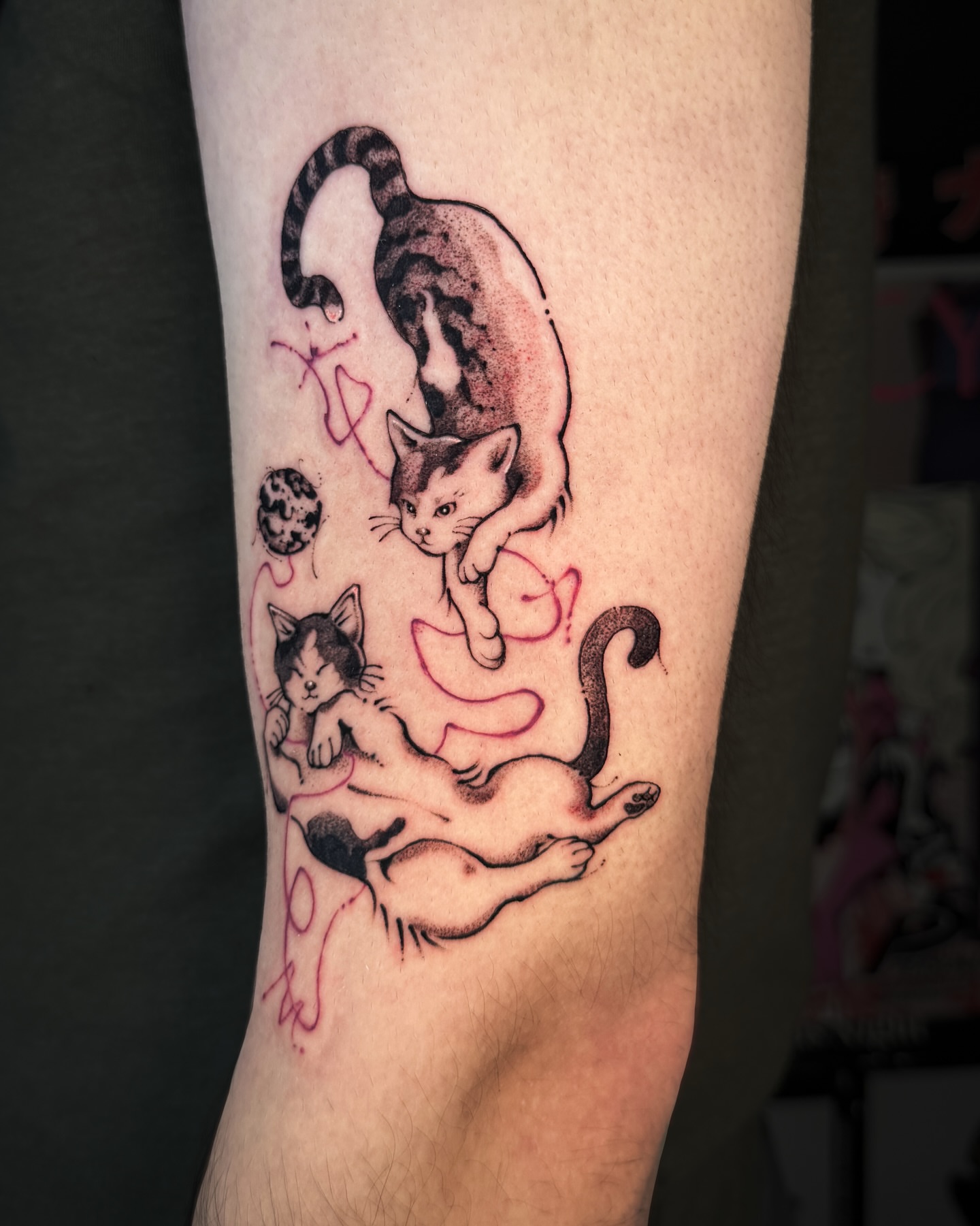 Cats black and grey tattoo on the forearm by мια ѕυη