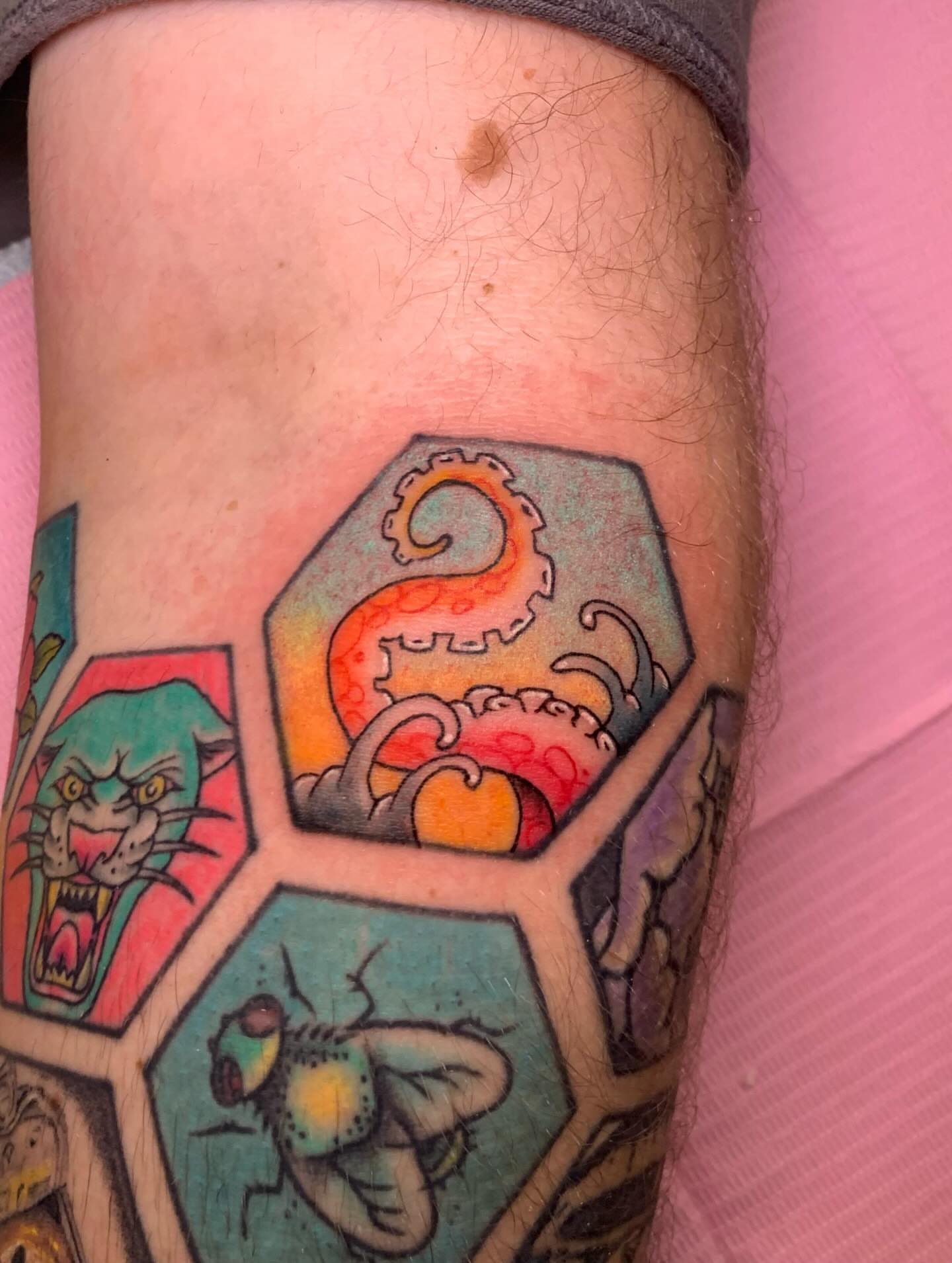 Hexagonal grid with animals American traditional tattoo on the forearm by Hannah Hahn