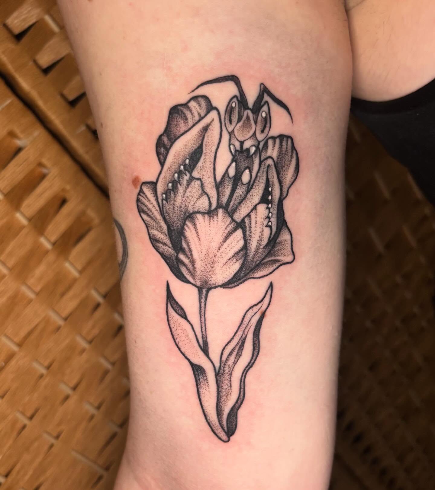 Tattoo by @jdawgdotgov — dotwork, realism