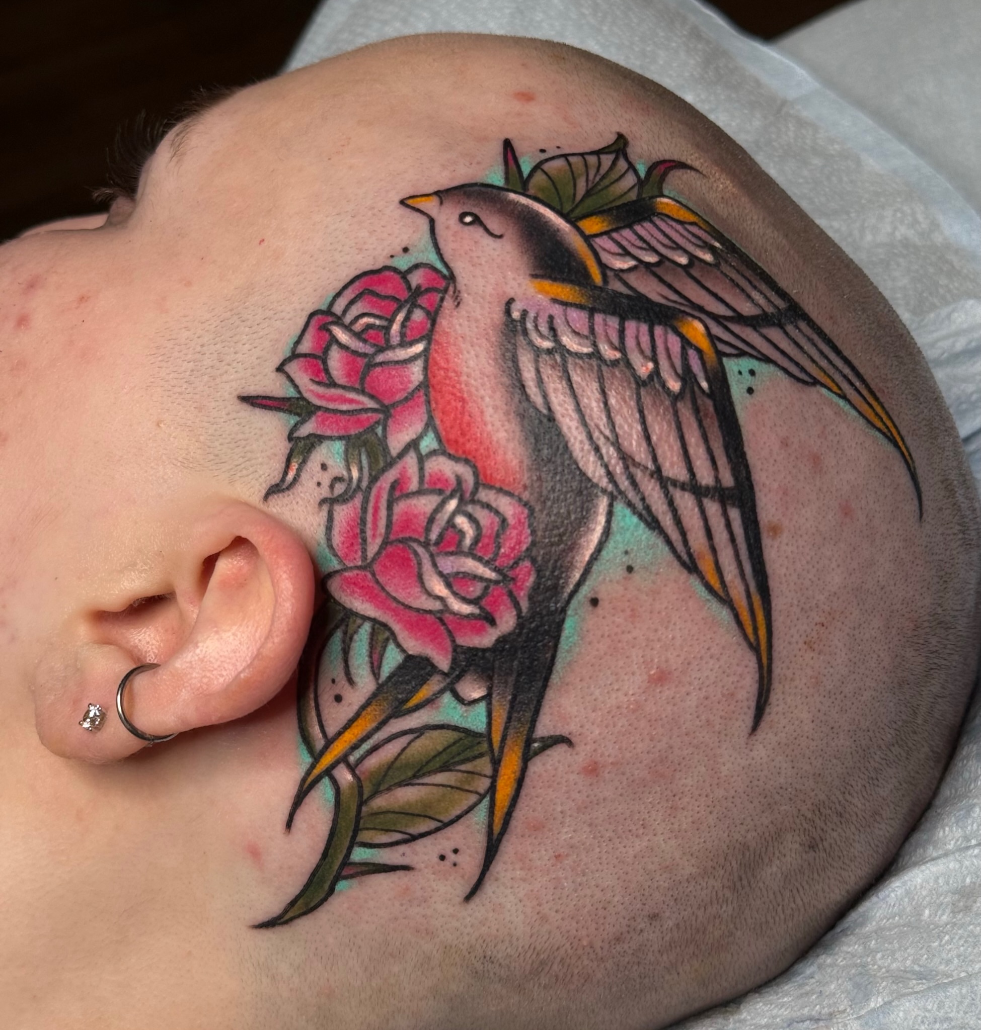 Bird and roses American traditional tattoo on the shoulder by Chelsea Graham, Seattle, Washington