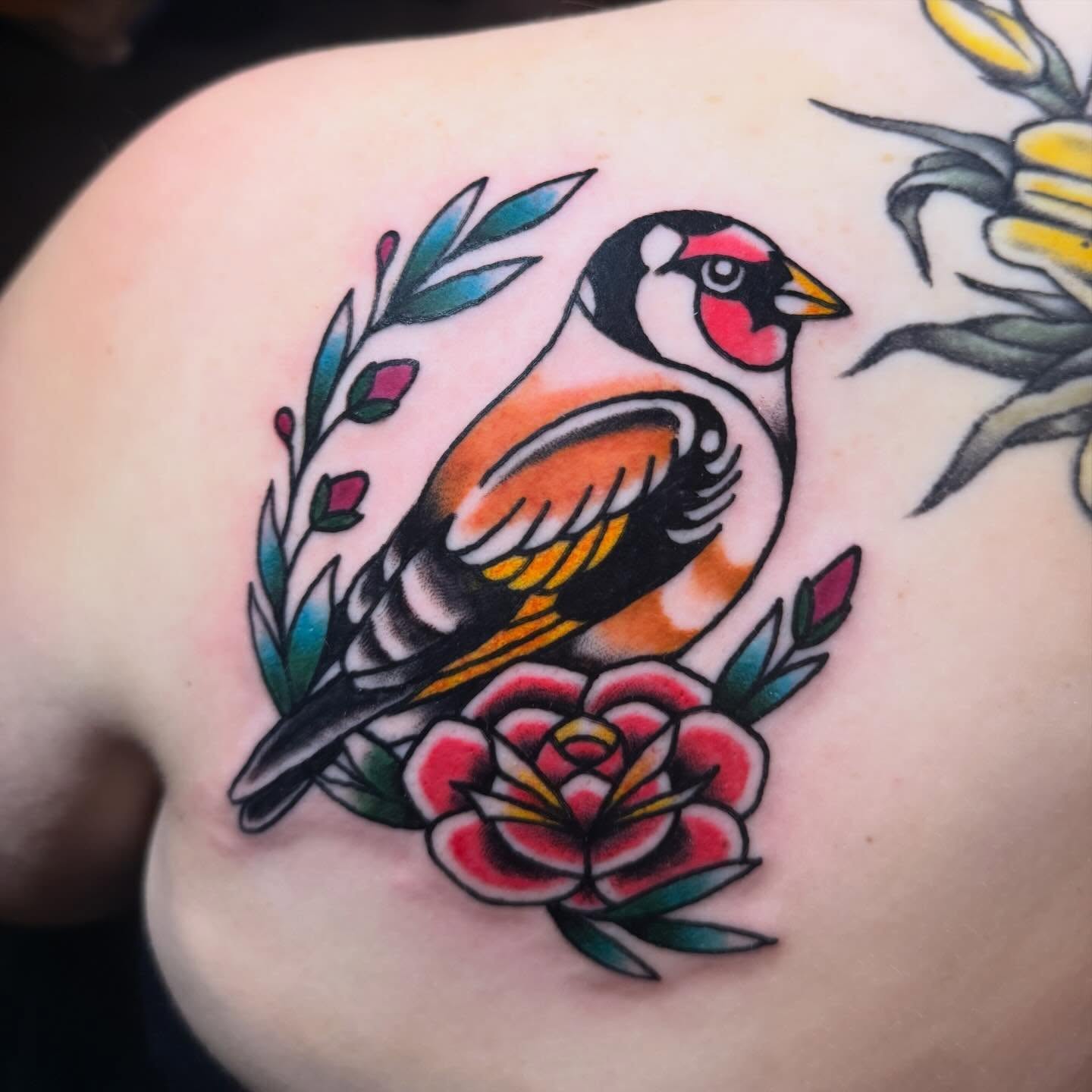 Goldfinch and rose American traditional tattoo on the shoulder by Shelby