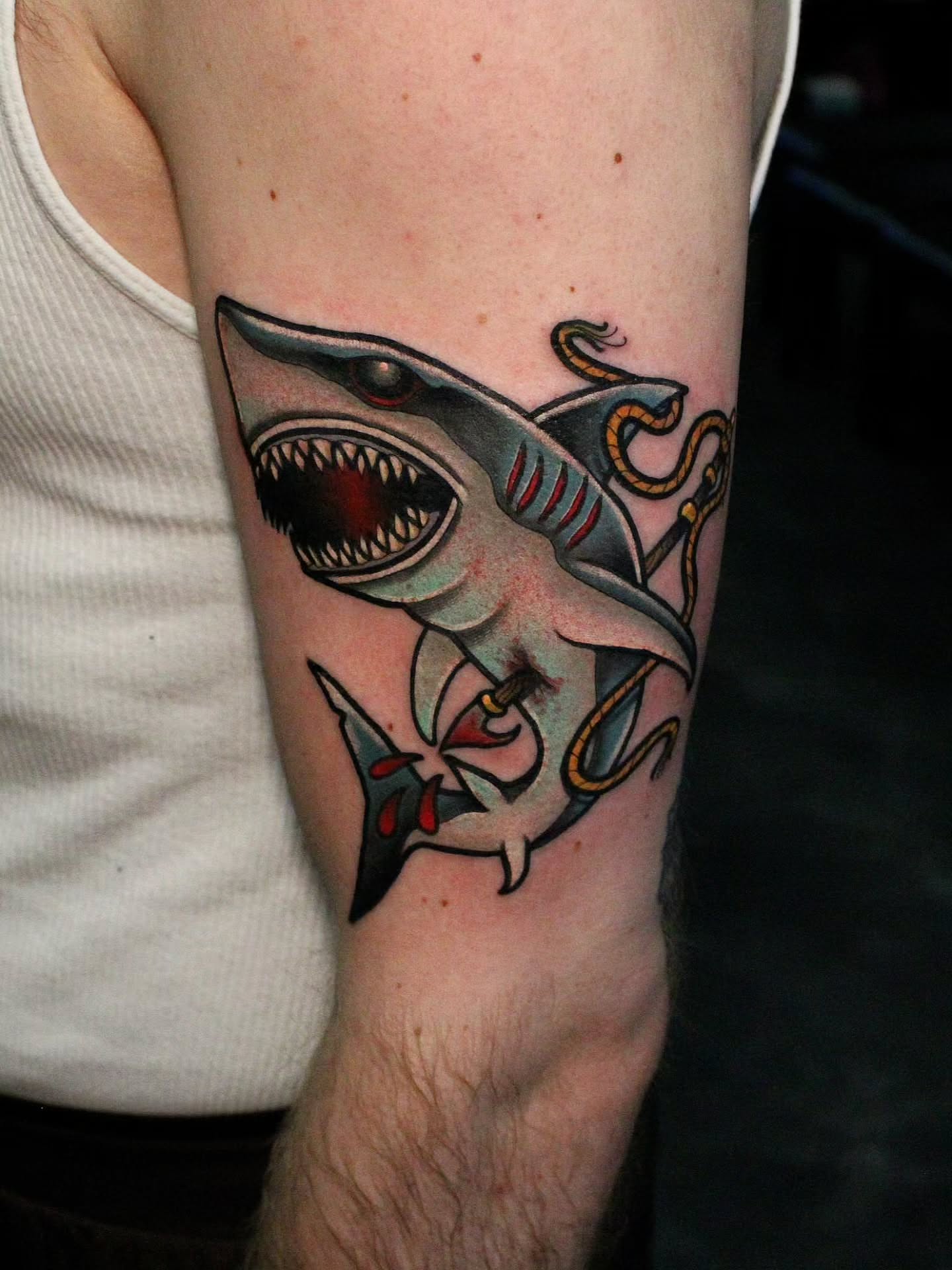 Shark American traditional tattoo on the forearm by Joey Vinci, Phoenix, Arizona